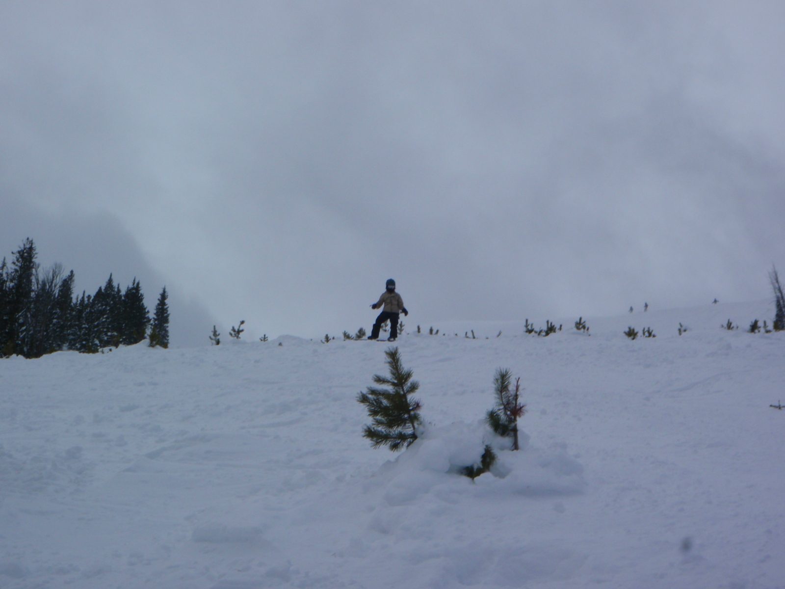 Monica on one of the trails served by the Thunderwolf lift at Big Sky.