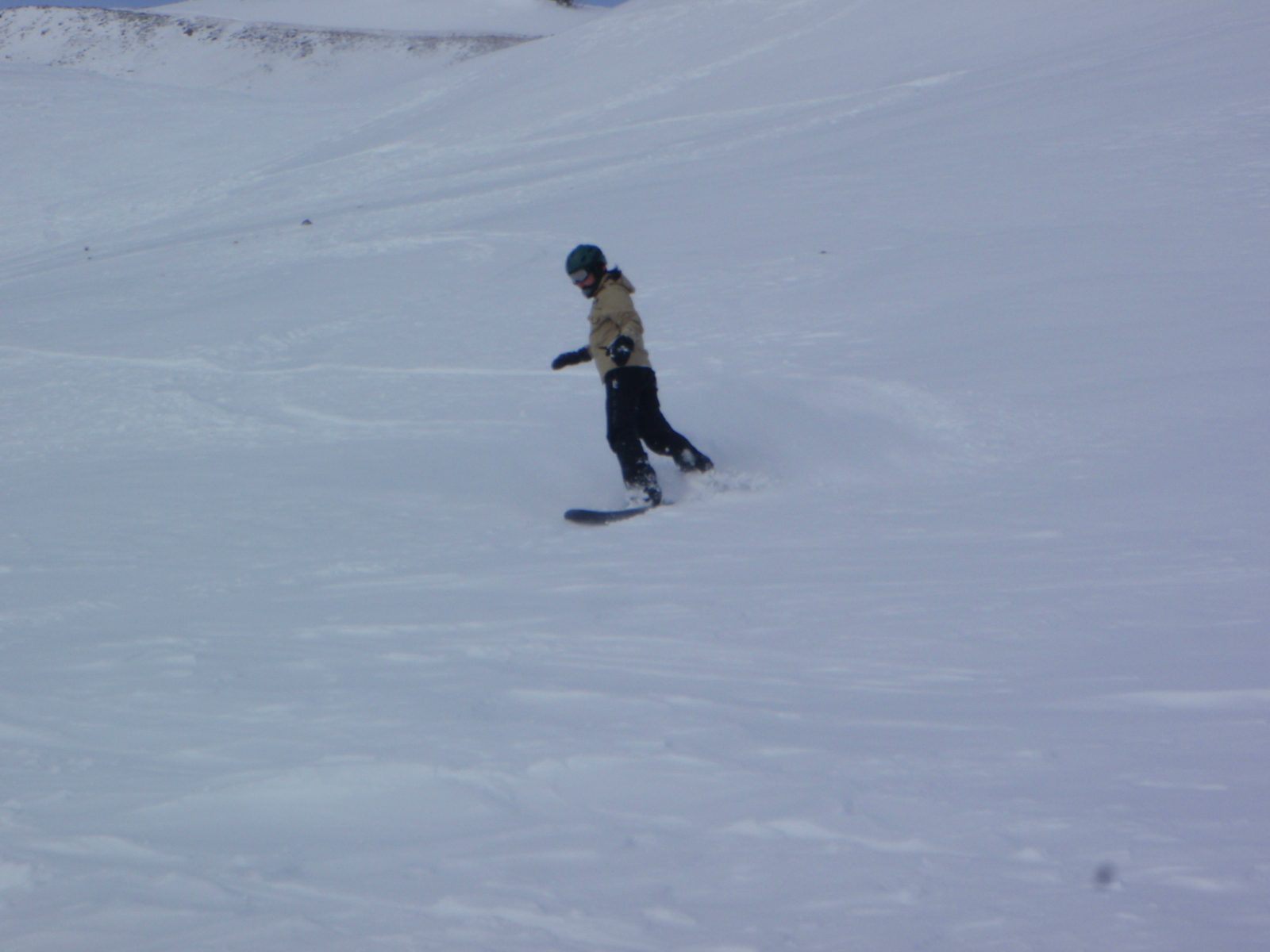 Monica riding on New Year's Eve.