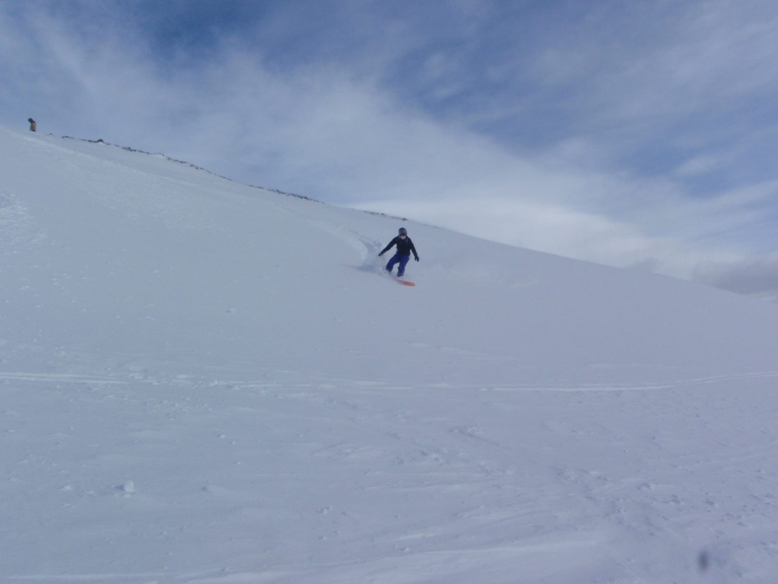 Catherine riding on New Year's Eve.