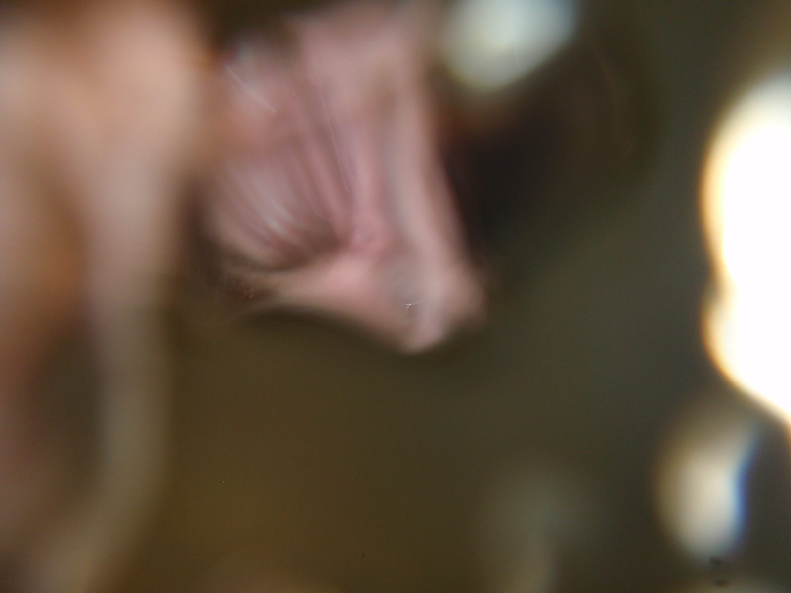 Jay, throwing the camera while it takes a picture on timer mode.