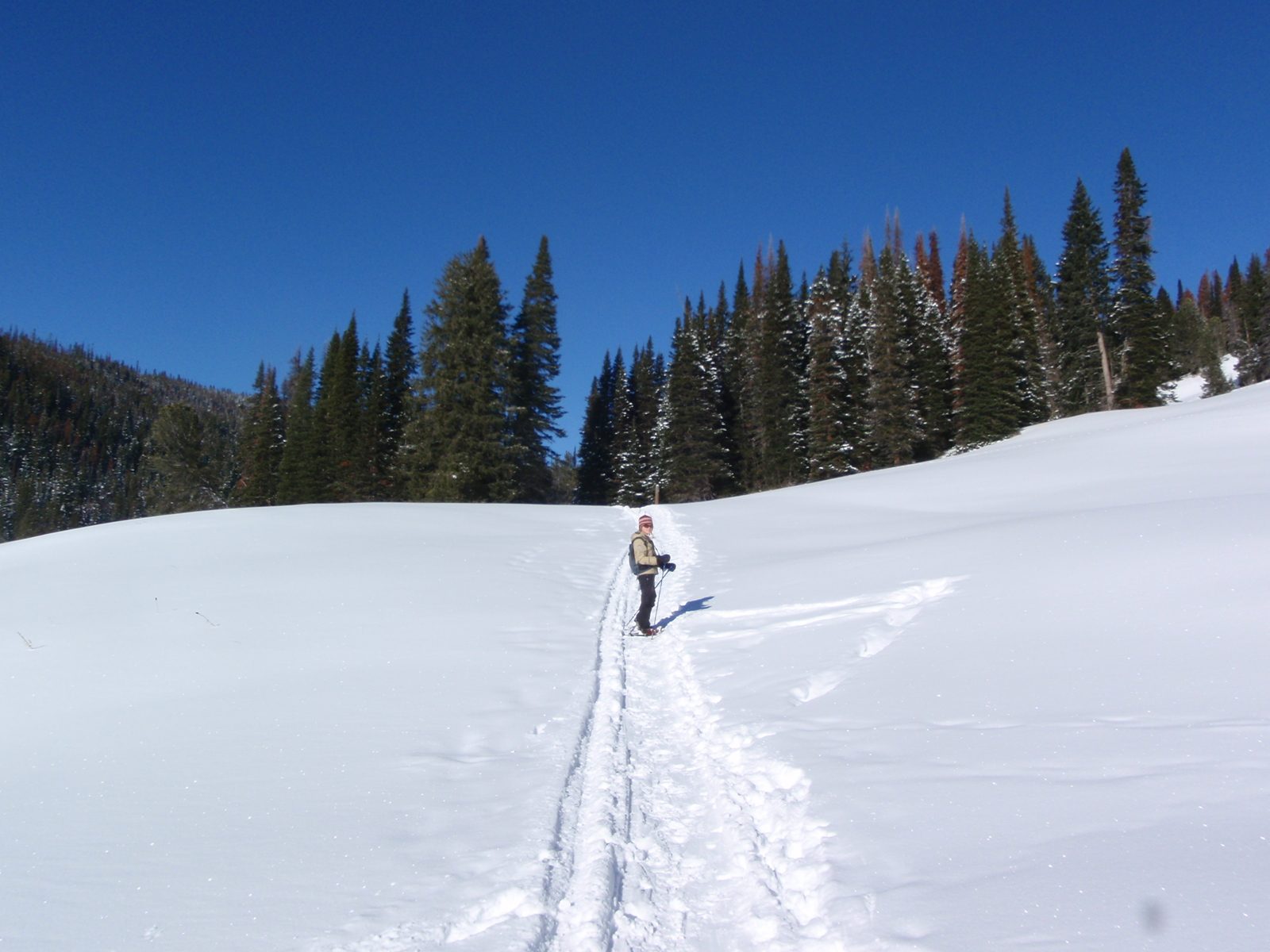 Monica leading the way up the Beehive Basin trail.
