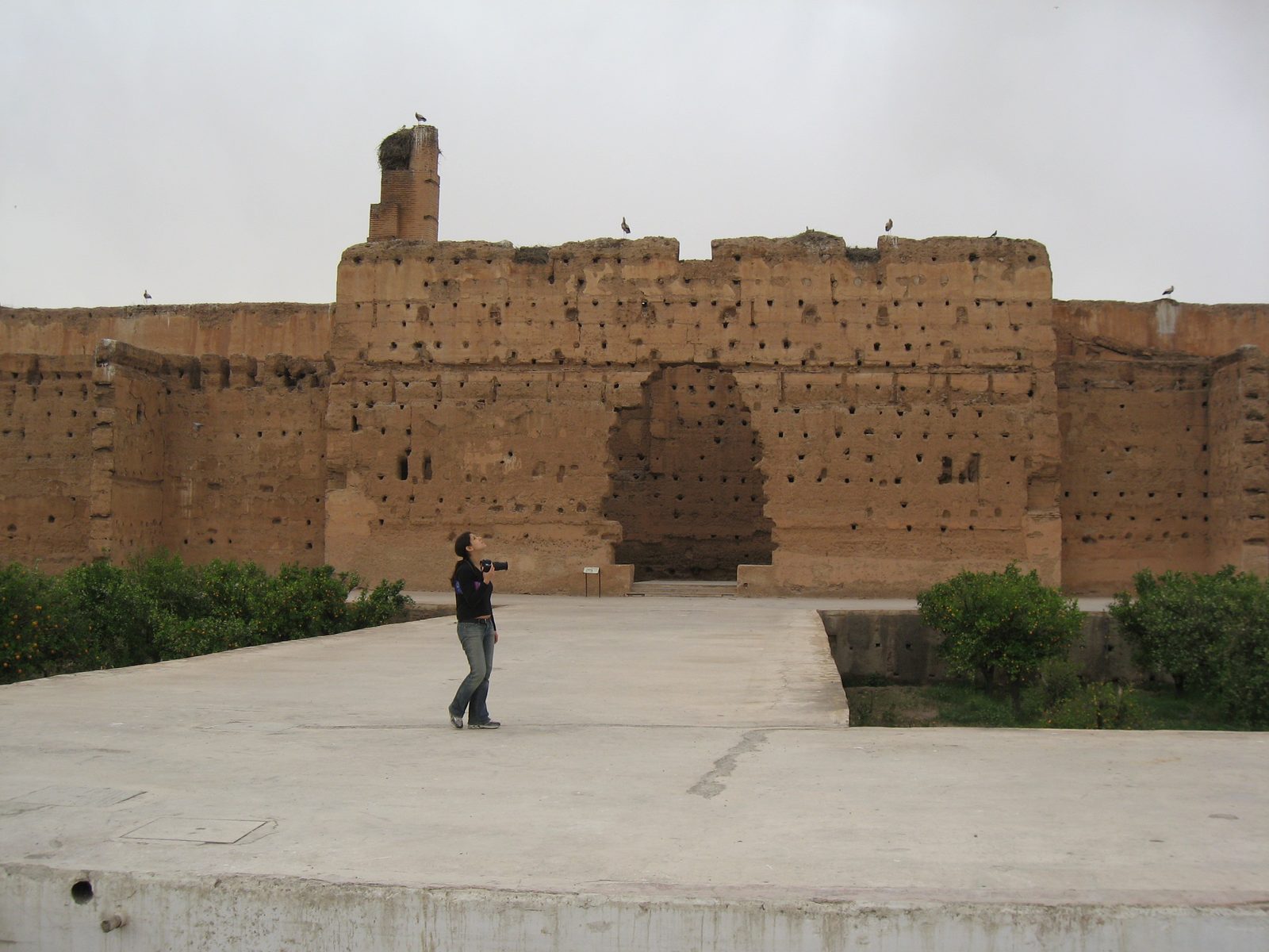 Heidi trying to shoot storks with her camera in the El Badi Palace.