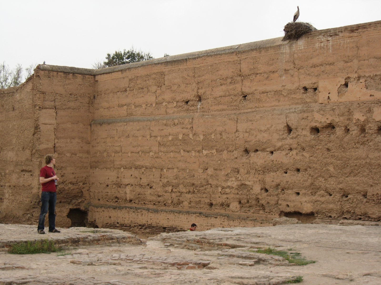 Trevor checking out a stork in the El Badi Palace.