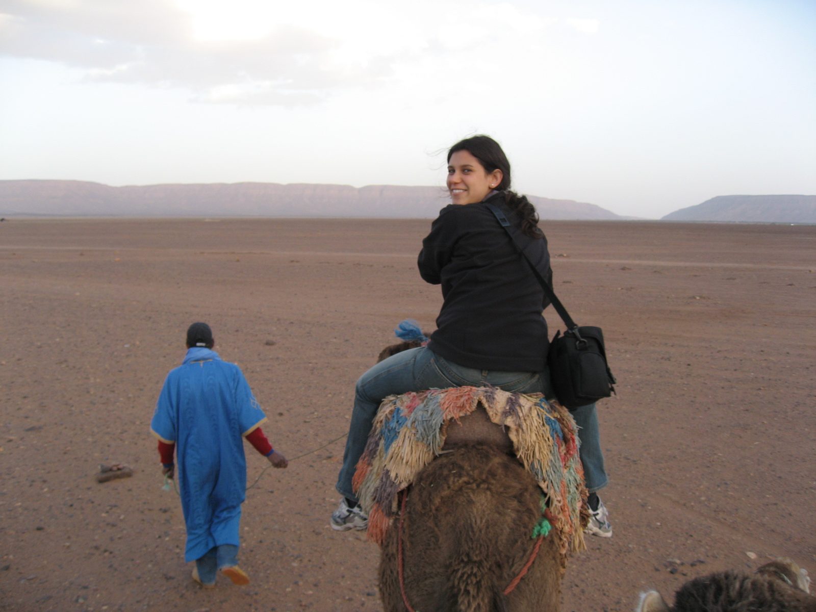 Heidi and the south side of her north-facing camel.  