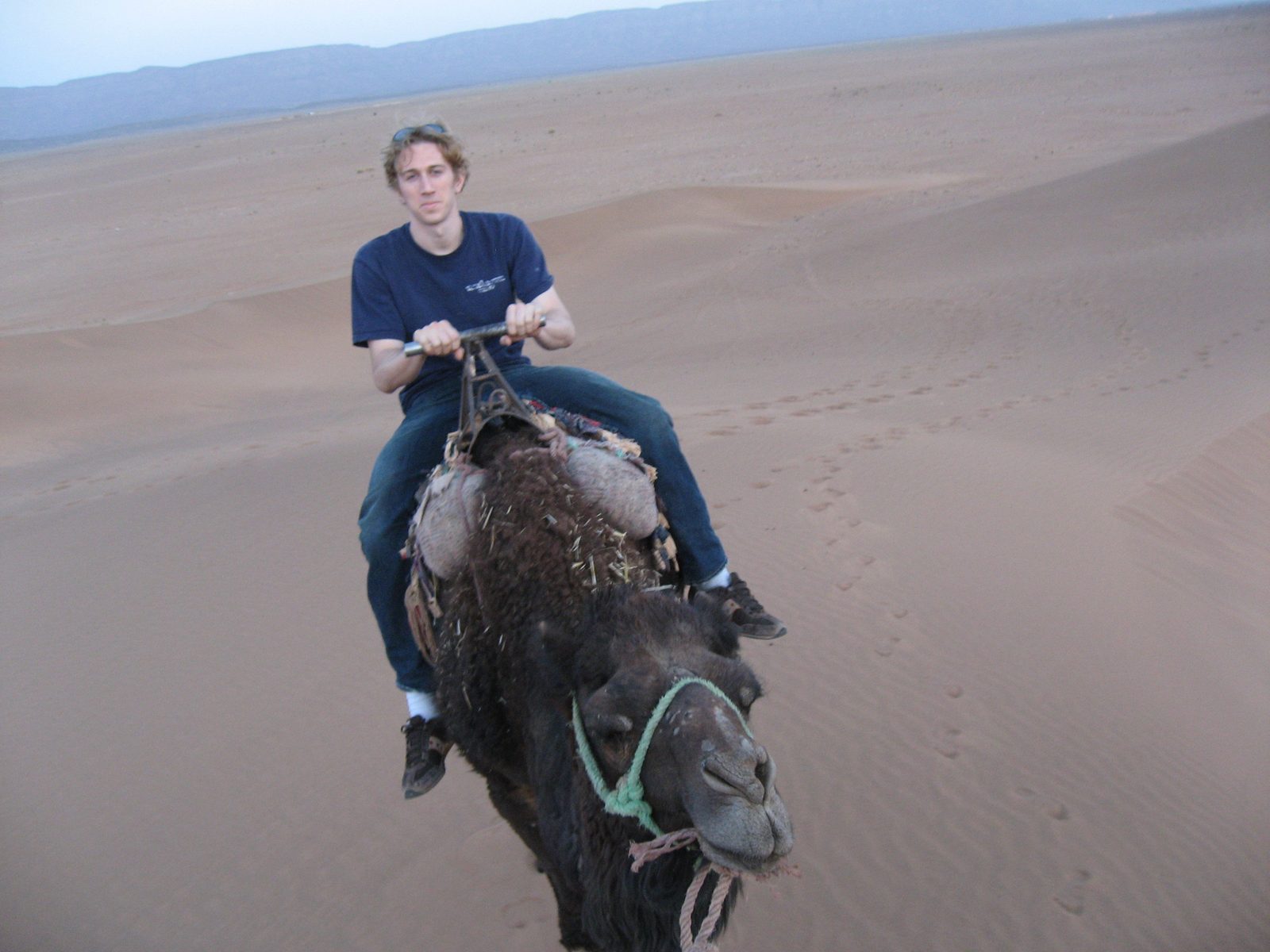 Trevor and his beast trekking the dunes.