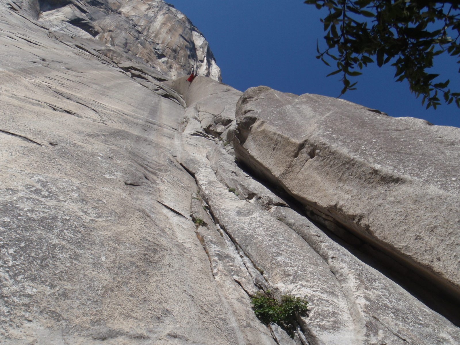But was actually dropped food from the portaledge 350+ feet above. Cans of food torn apart like...