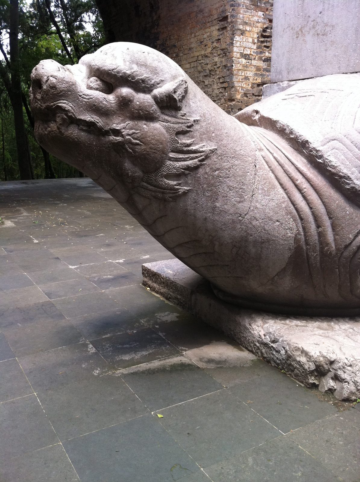 Turtle guarding the entrance to the Ming Xiaoling Mausoleum, in the same national park as the...