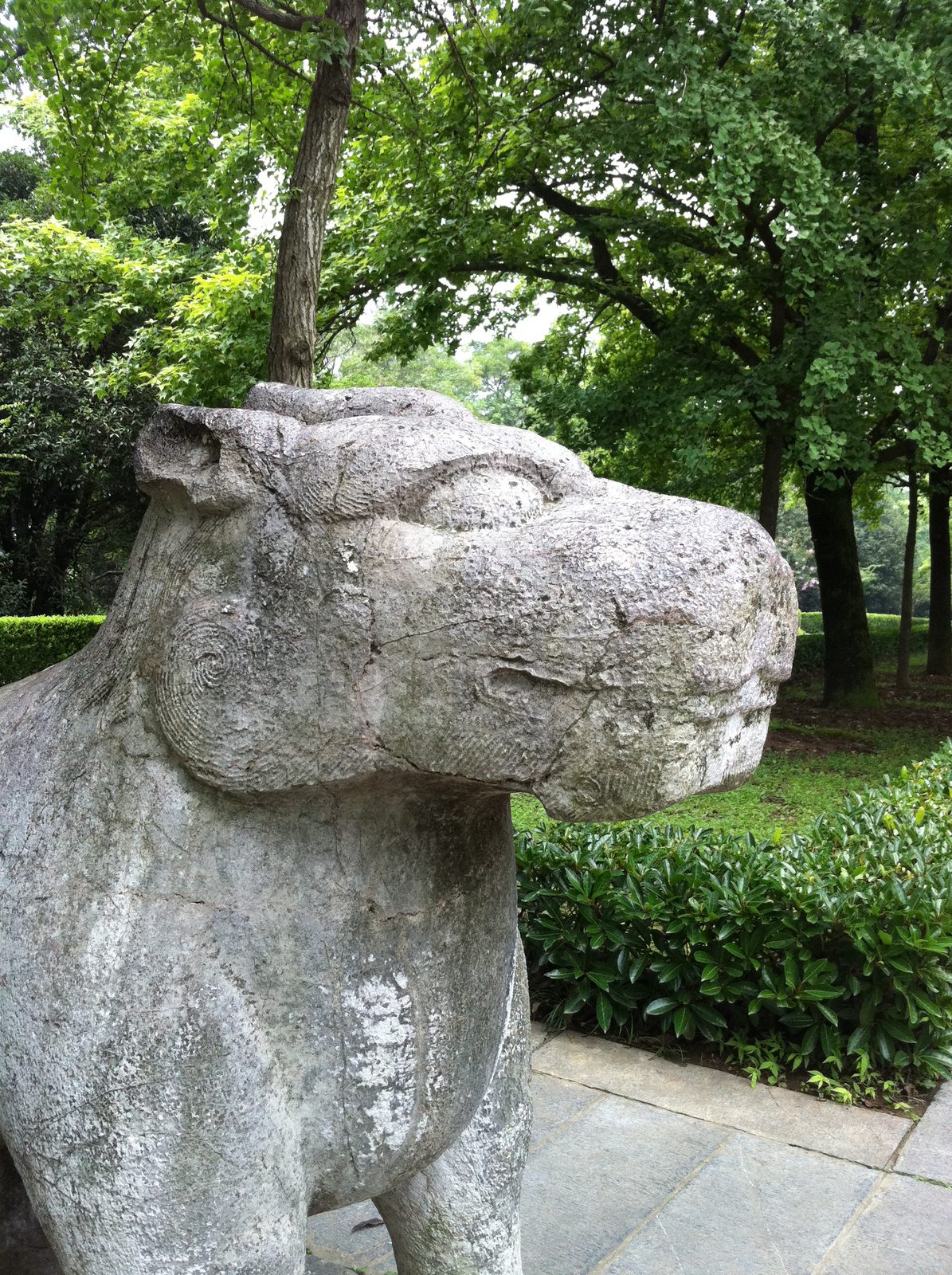 Bear-eyed unicorn.