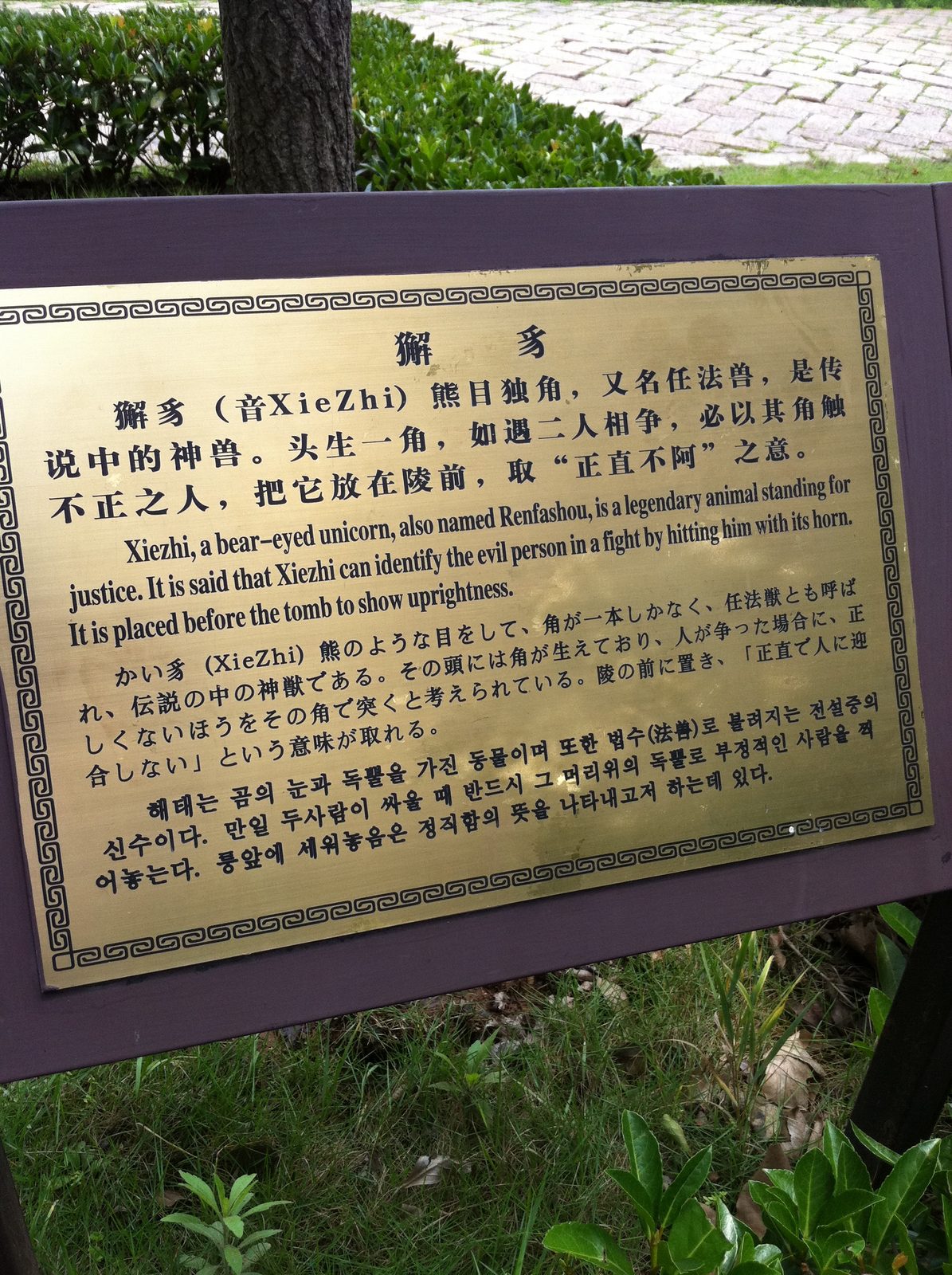 Sign describing the bear-eyed unicorn.