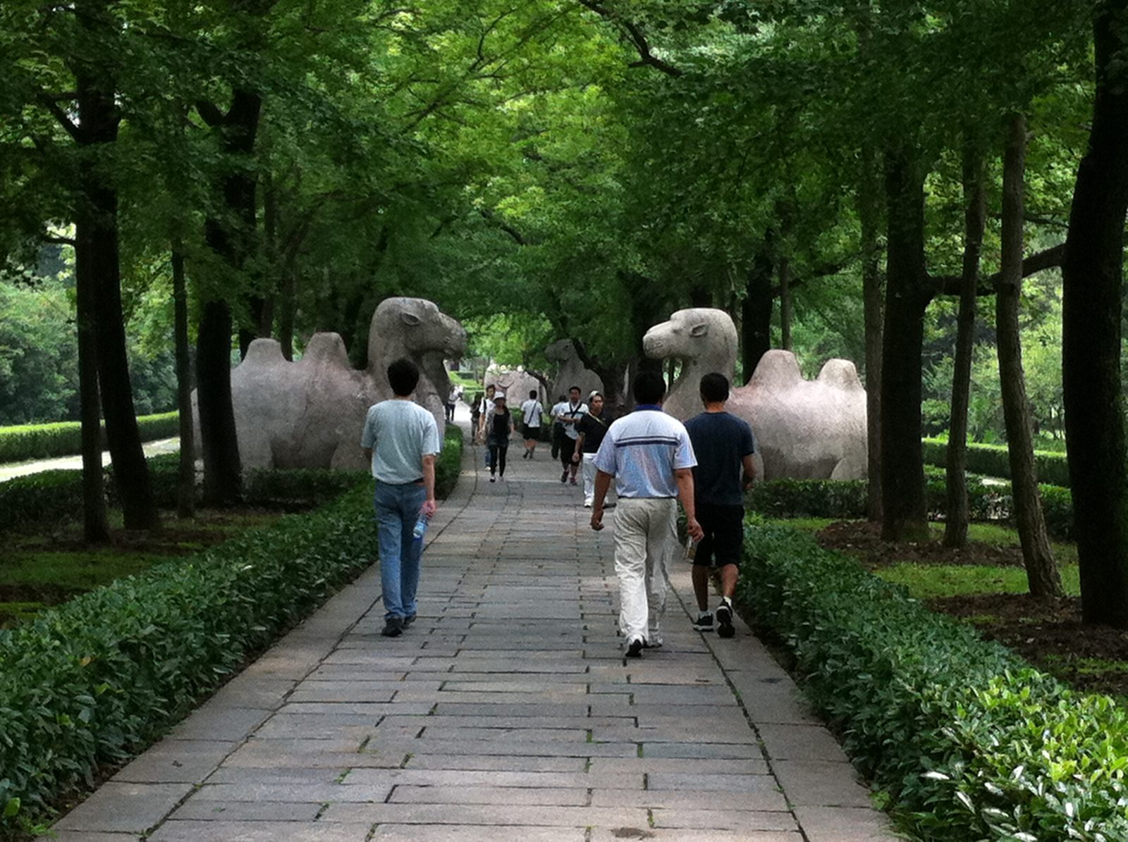 My coworkers and our hired guide walk toward some stone camels on the Sacred Way.