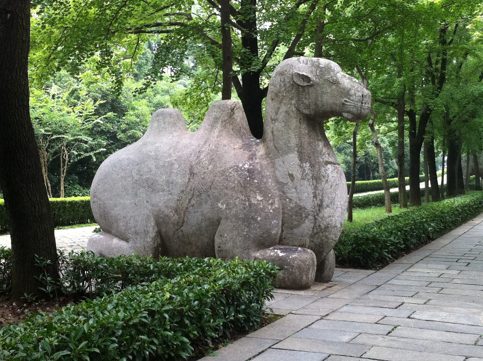 Stone camel.