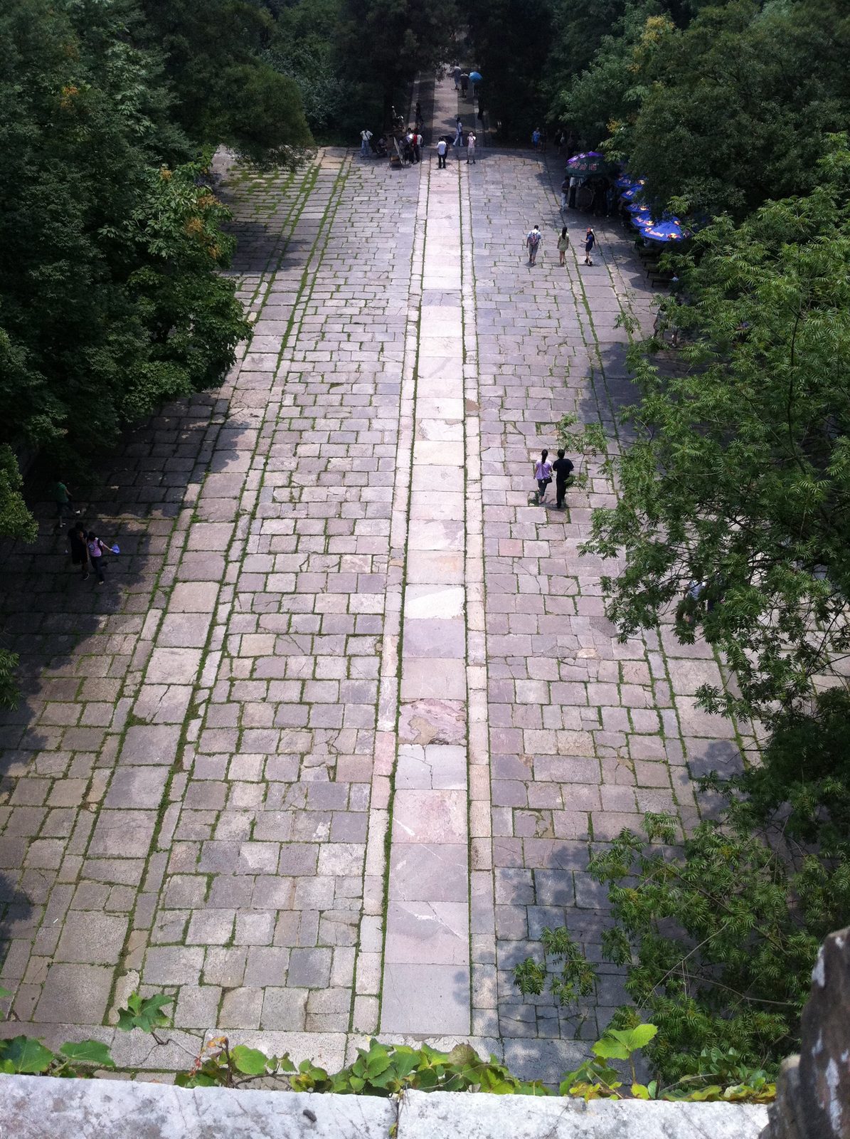 Looking back down from the top of the Ming Xiaoling Mausoleum.