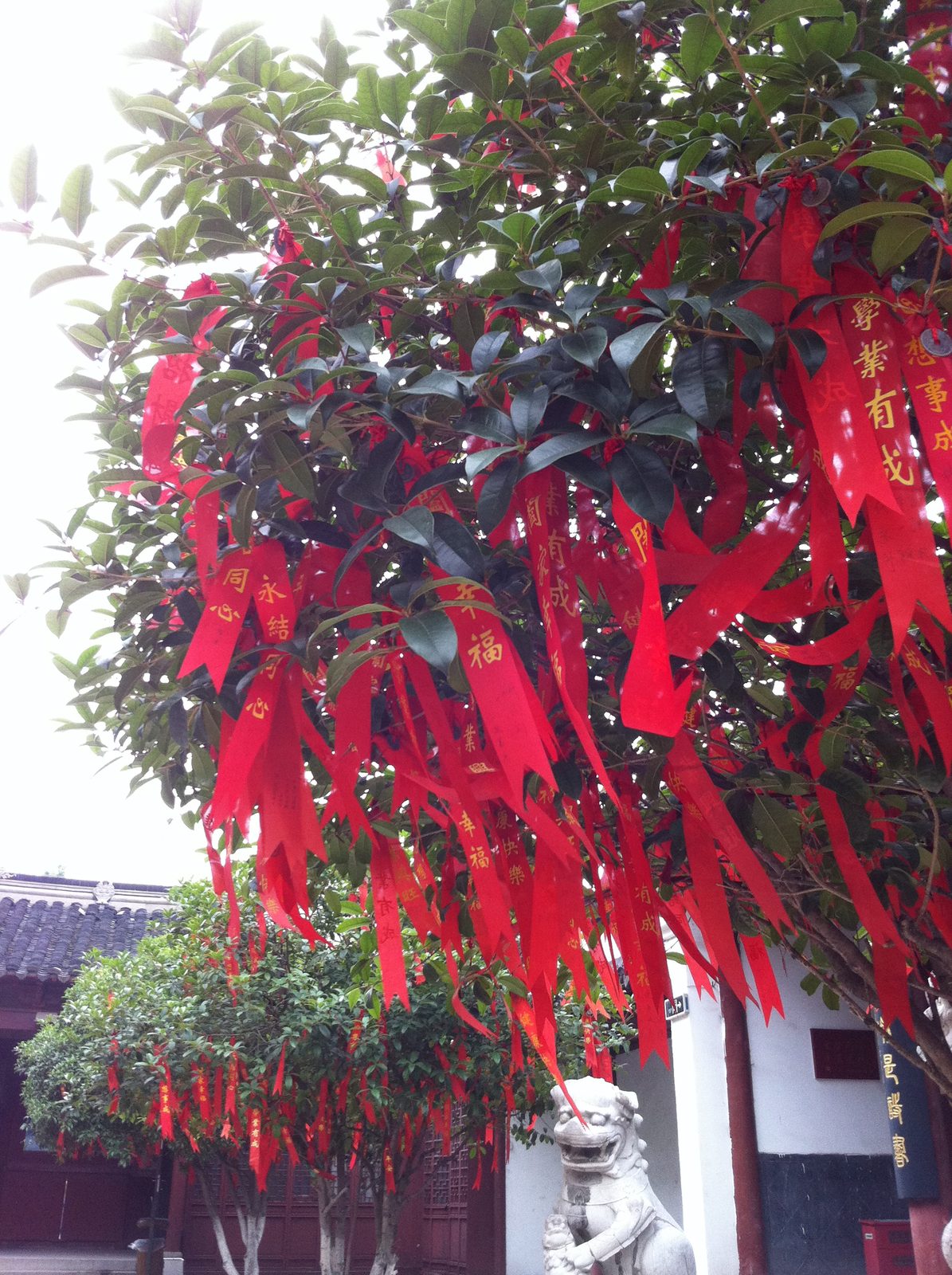 Prayer tree or somesuch behind the temple.