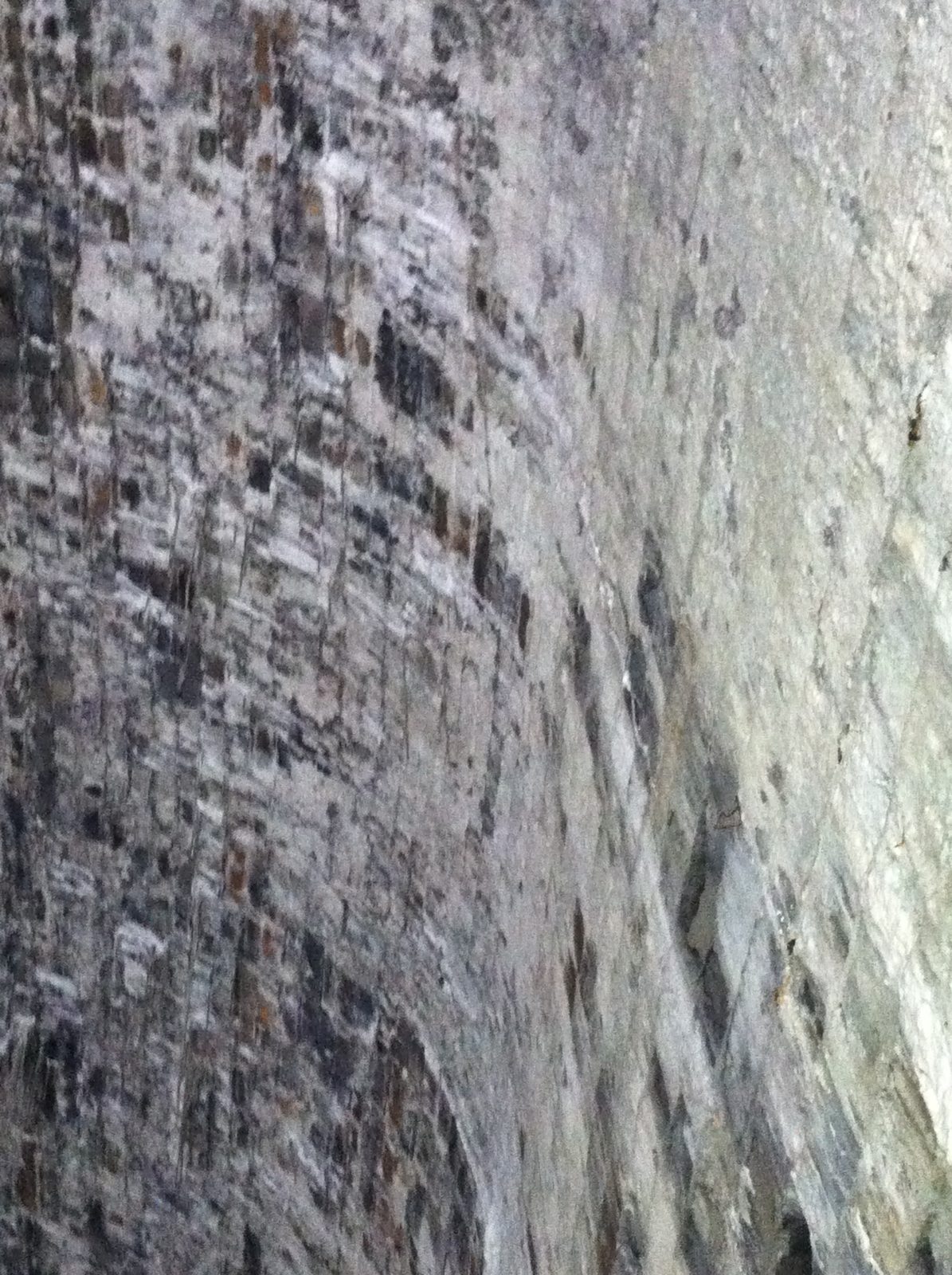 Inside the wall, where food and ammunition and other goods were stored for safe keeping.