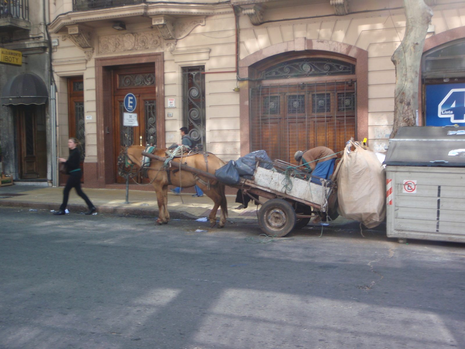 A horse-drawn carriage in downtown Montevideo.
