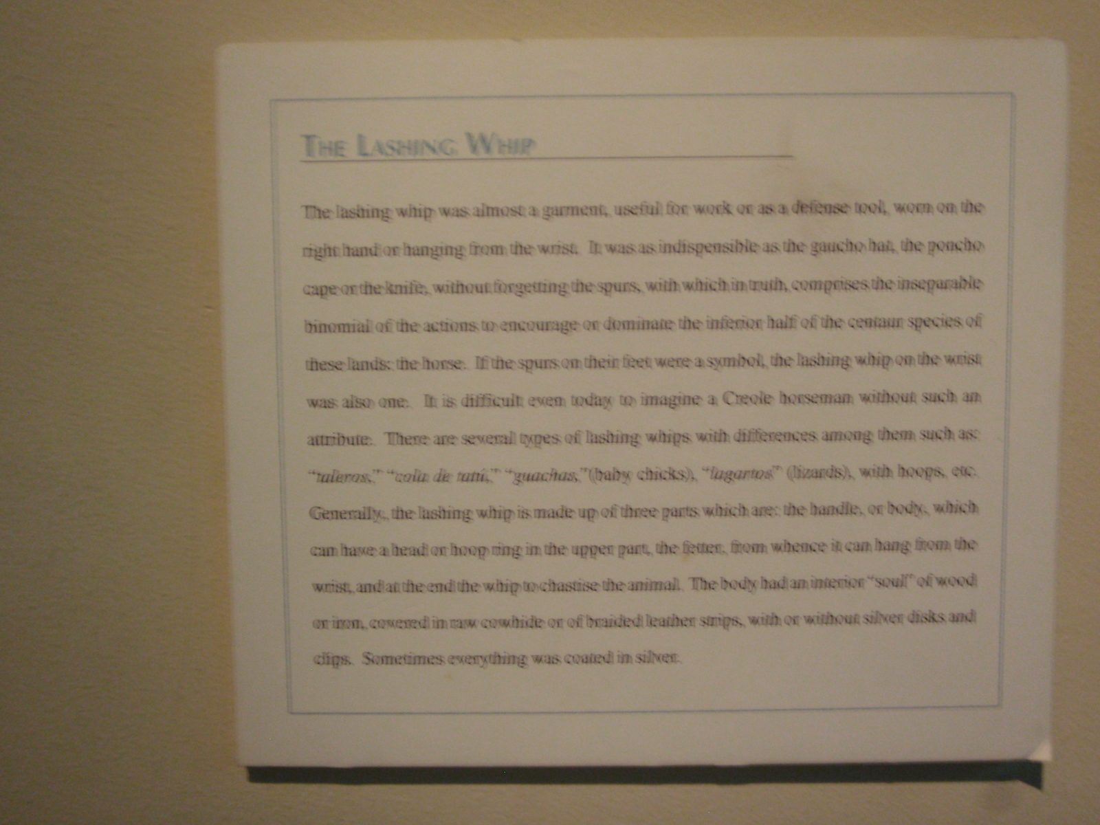 The lashing whip was almost a garment, useful for work or as a defense tool, worn on the right...