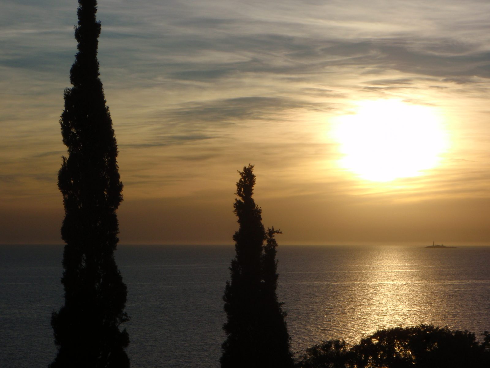 Some cypress trees silhouetted against the late afternoon Rio Plata.  Plata means silver in Spanish.