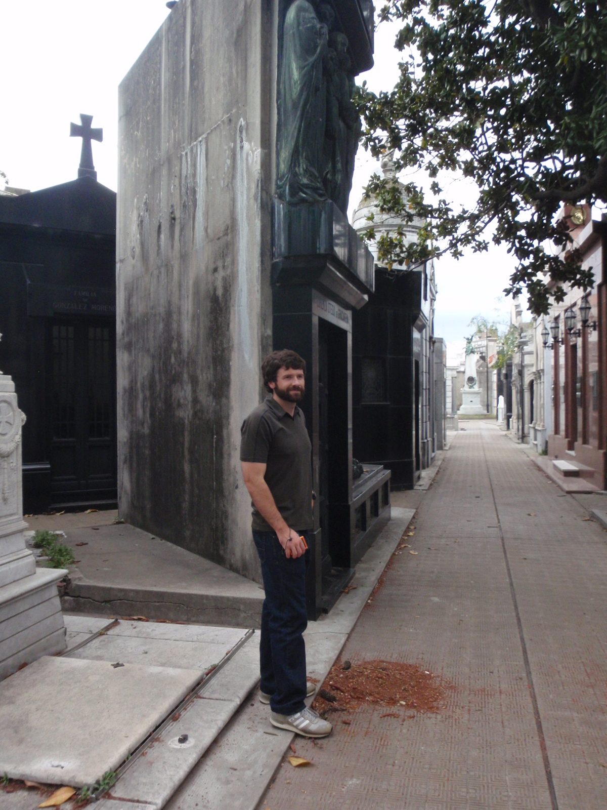 Jay surveying the surroundings at Cementerio de la Recoleta.