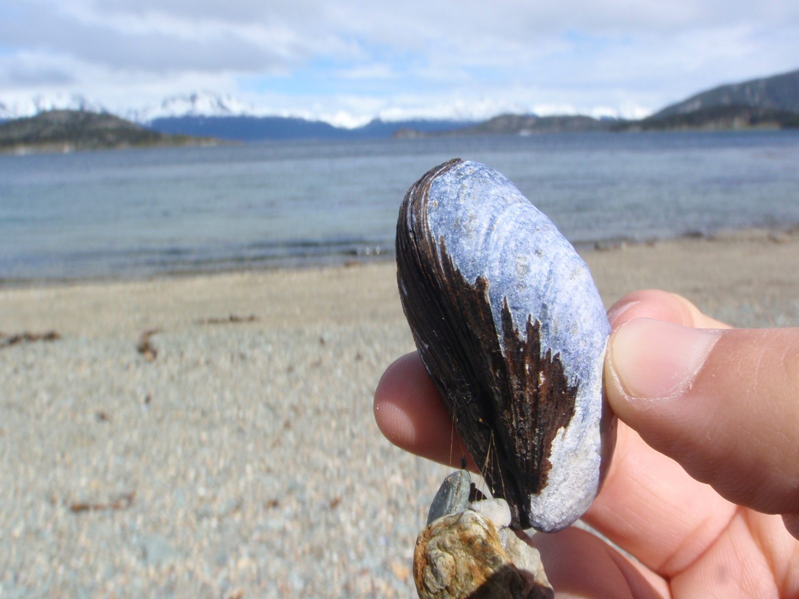 The mussels do look delicious though!