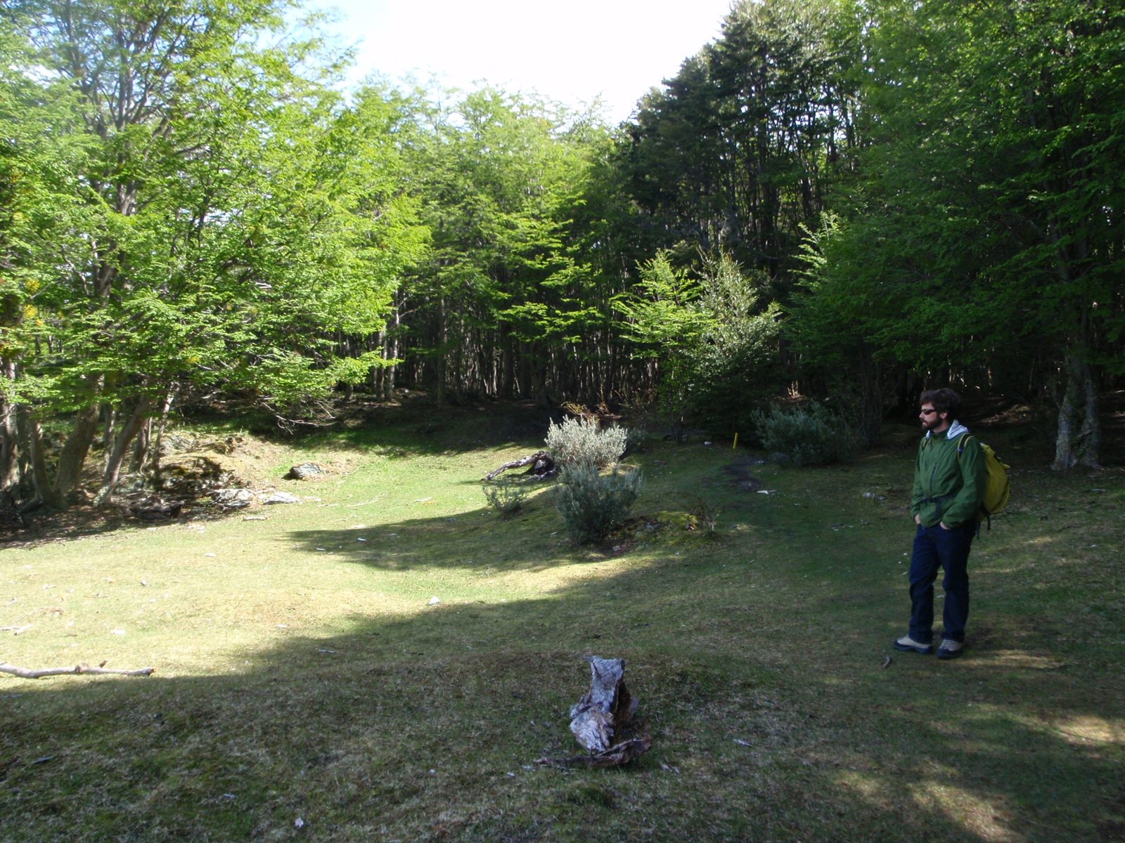 A meadow-y section of the hike.