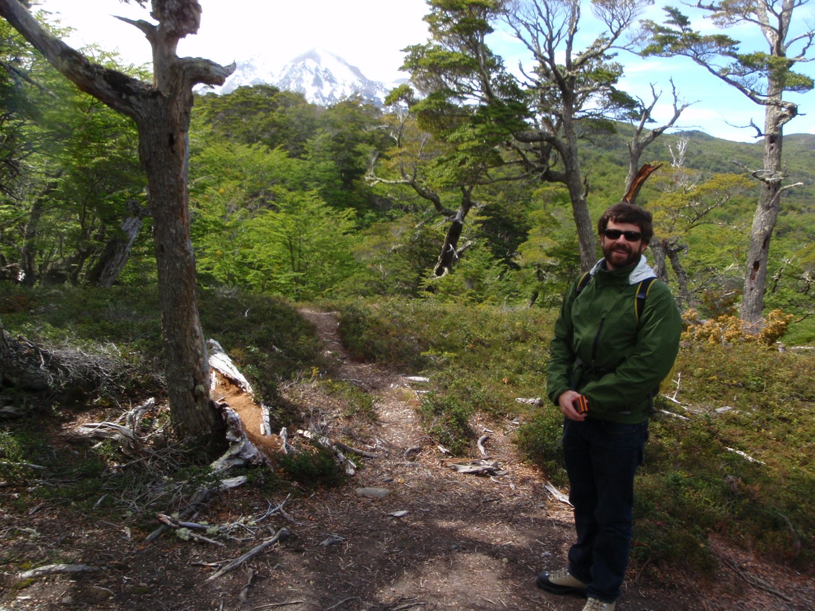 Jay with a tall mountain in the background.