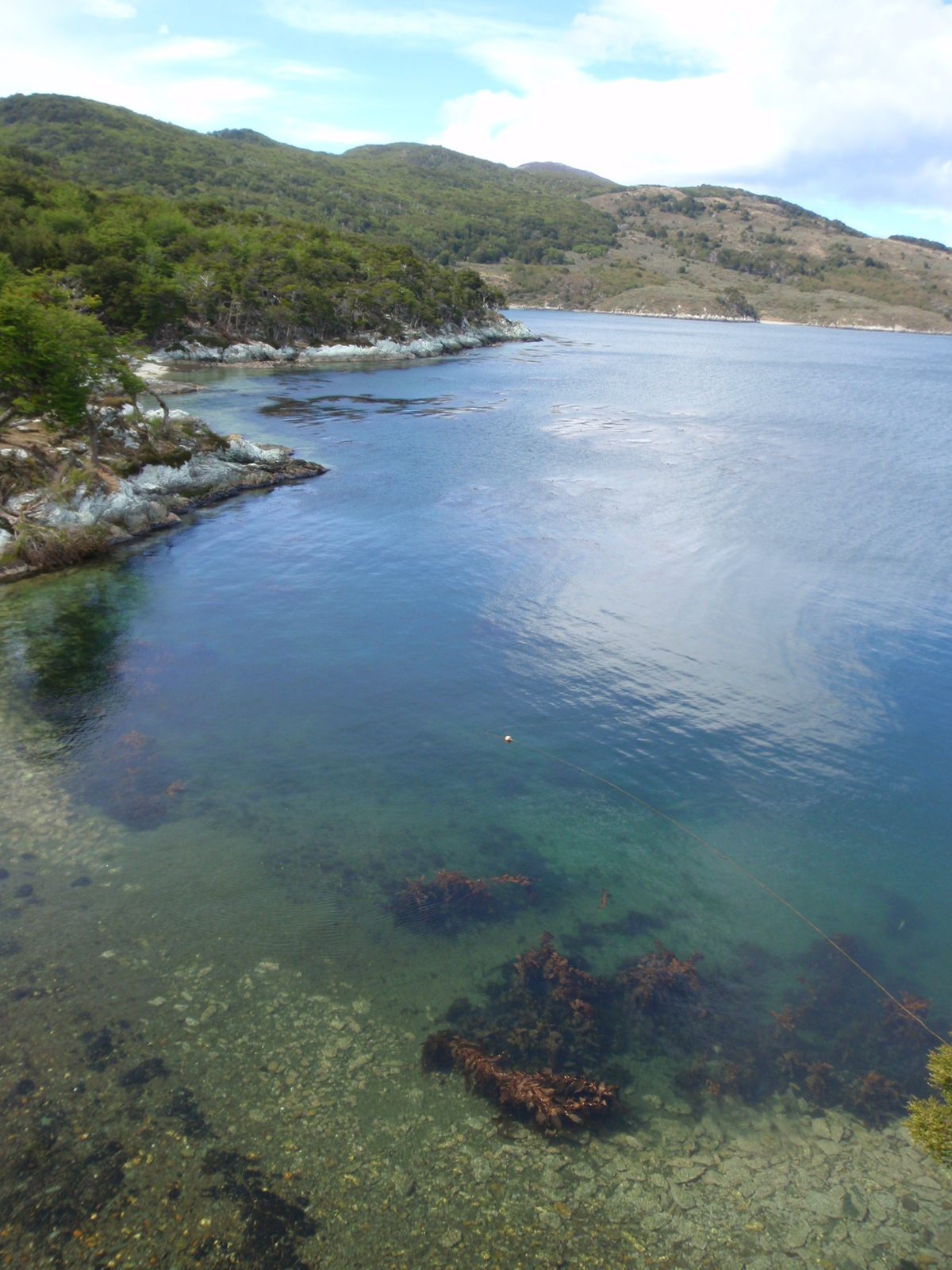 It was very, very pretty here.  Check out how clear the water is.