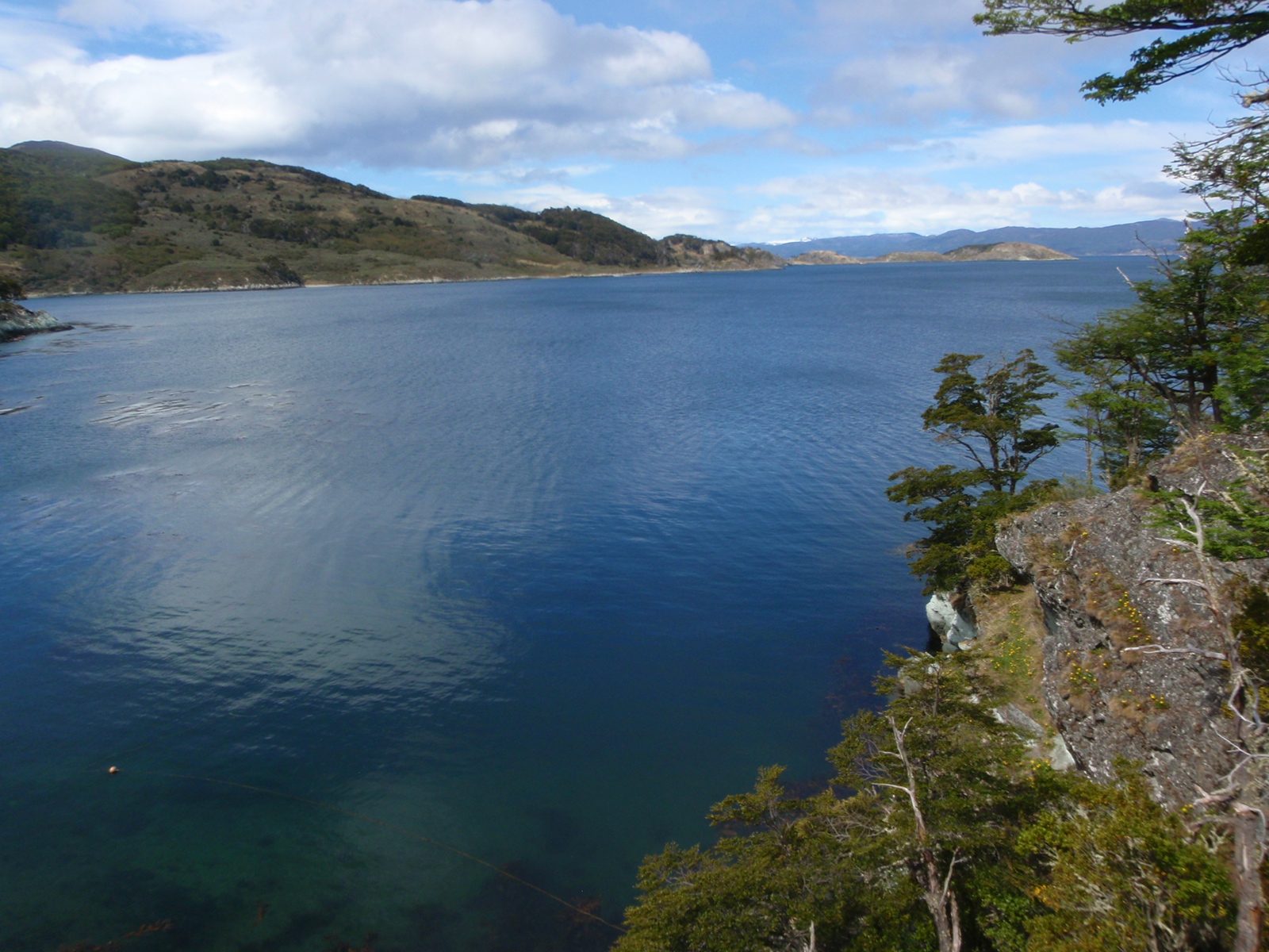 Blue water, green land, white snow.