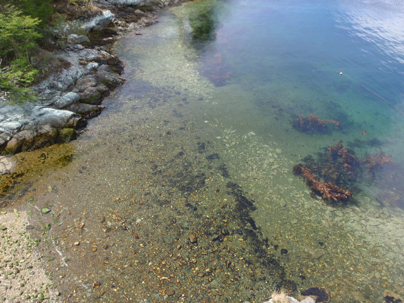 Very clear water.