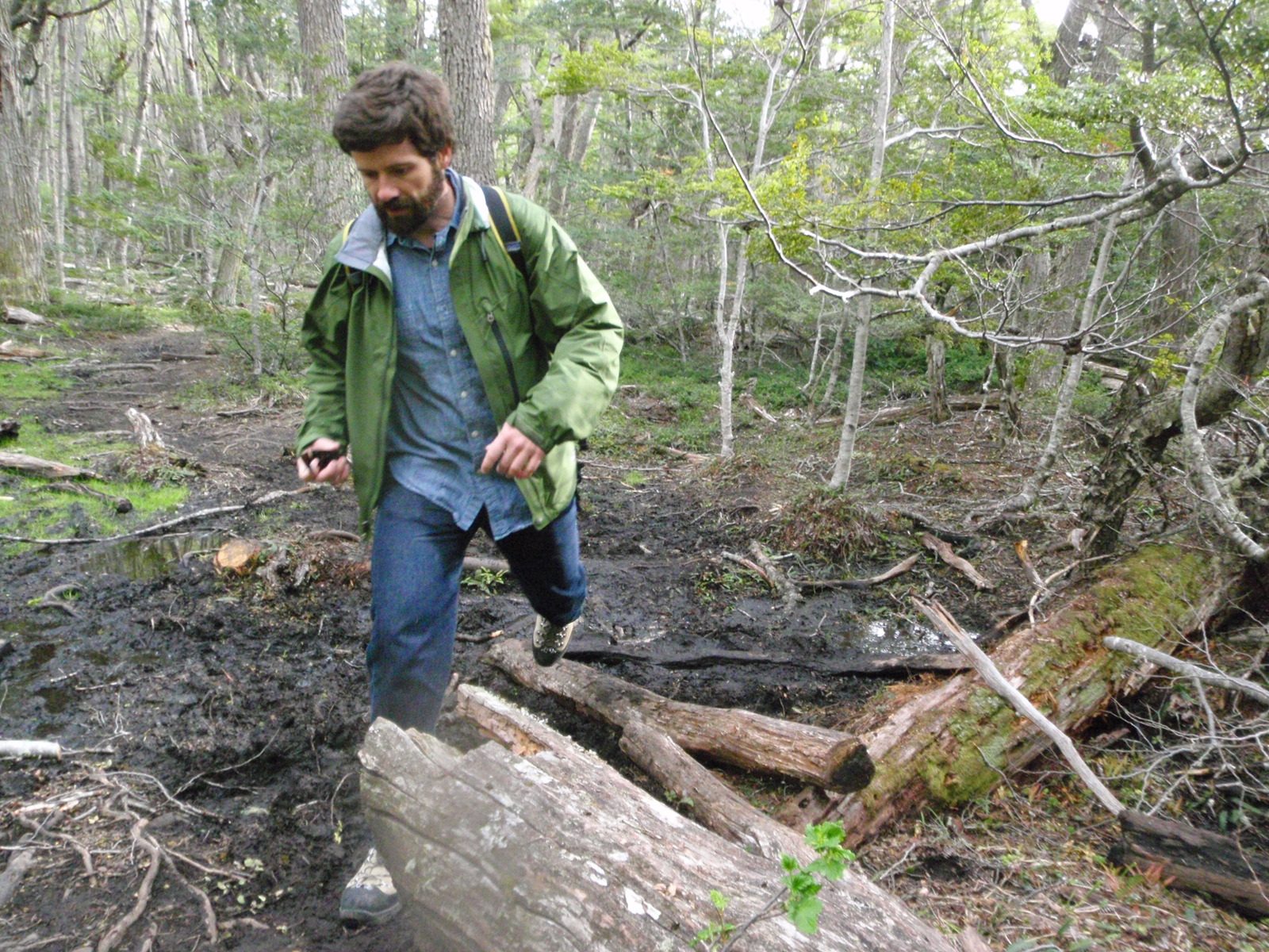 Hiking through some swampy parts, probably caused by beaver dams.