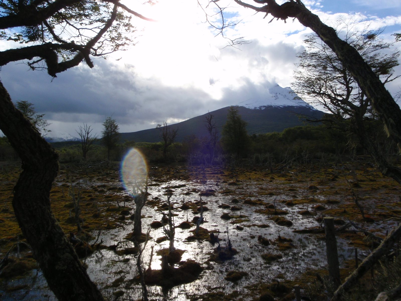 Probably also caused by some busy beavers.