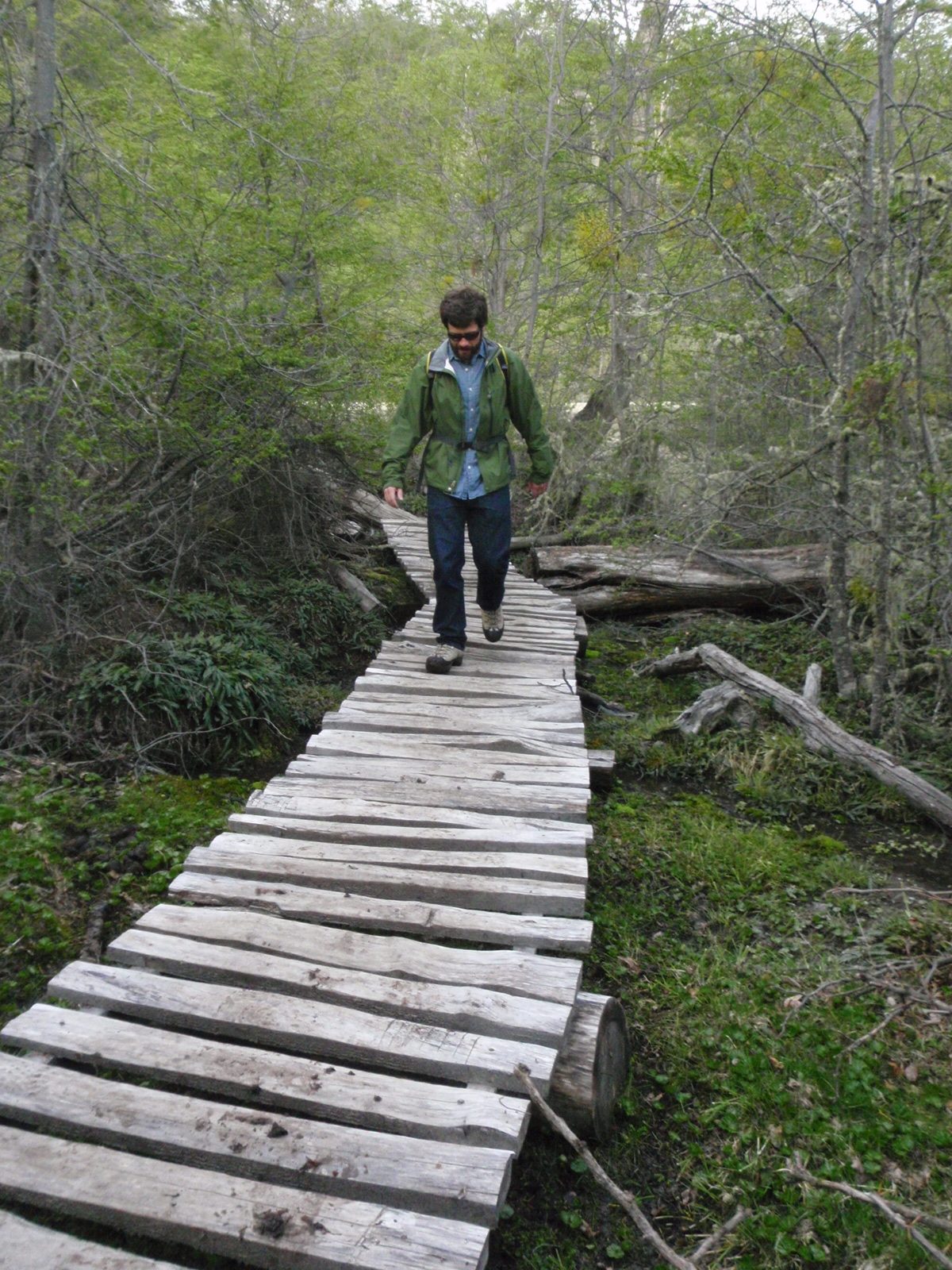 Very glad there was a boardwalk.  Very swampy.
