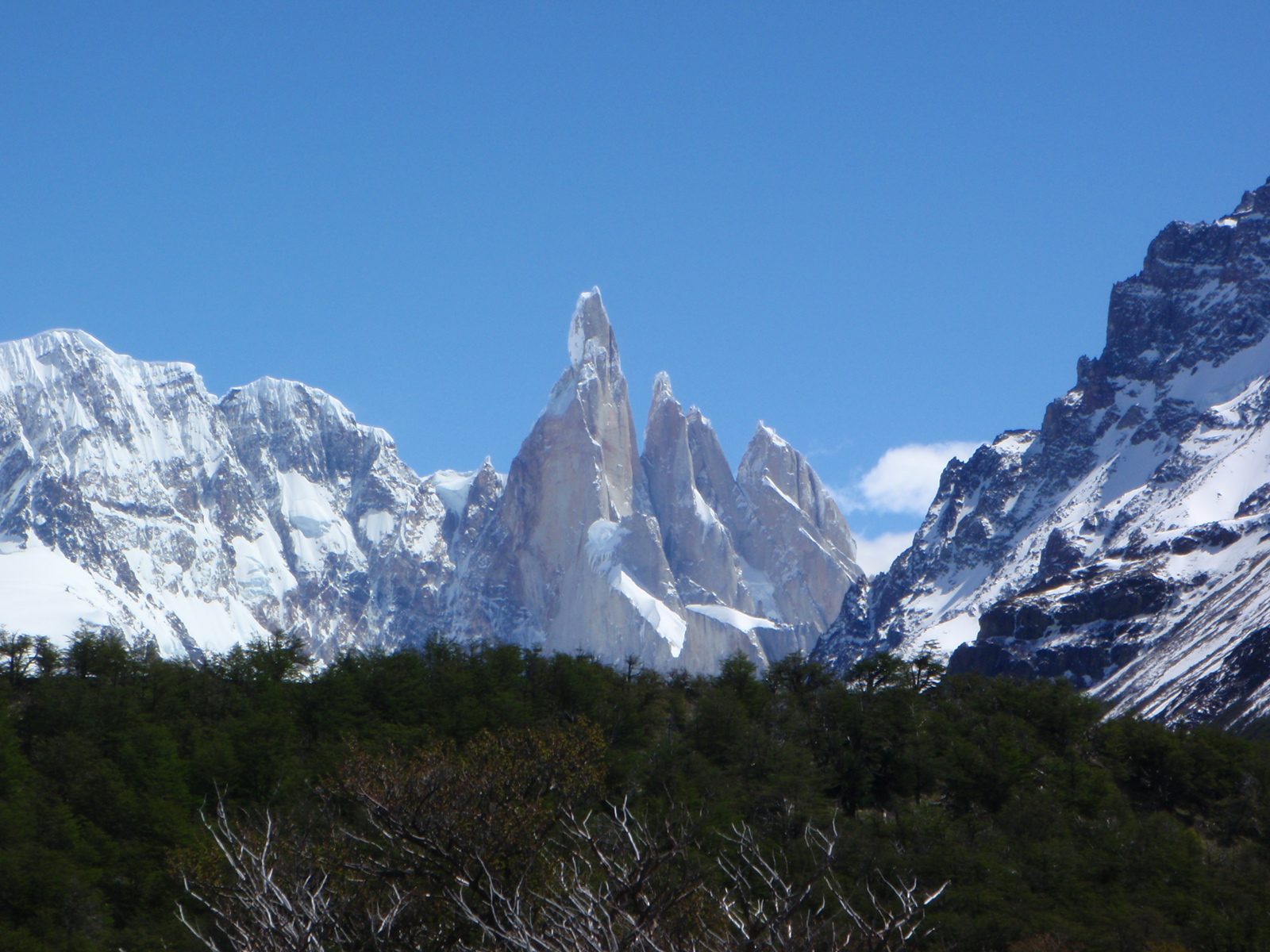 Cerro Torre post card shot.  I never get sick of looking at this mountain.