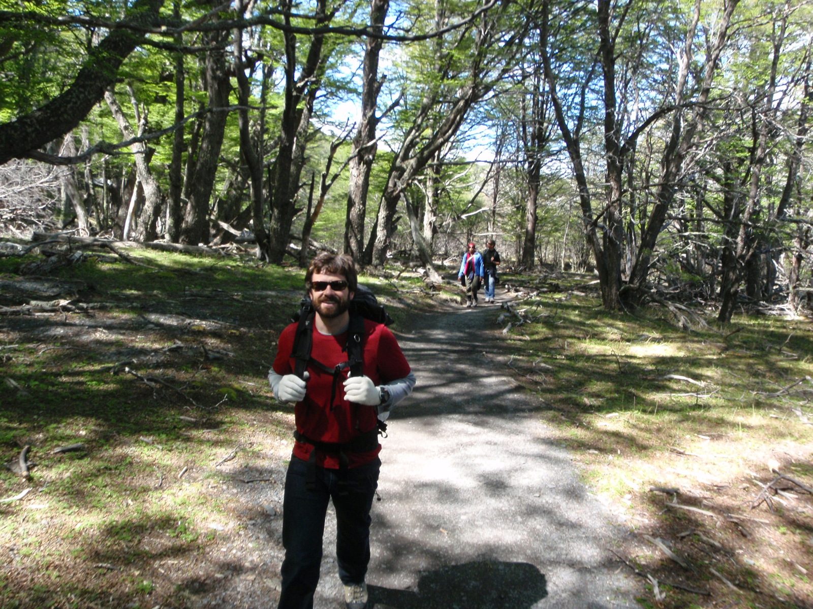 Hiking through a bucolic little forest section.