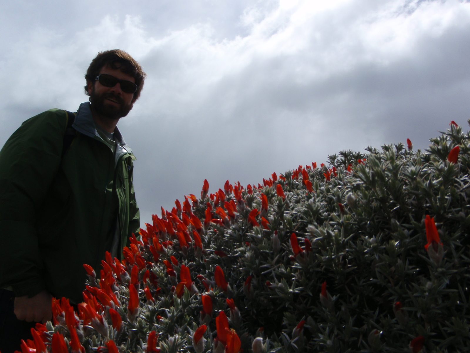 Jay and these red flowers we kept seeing.