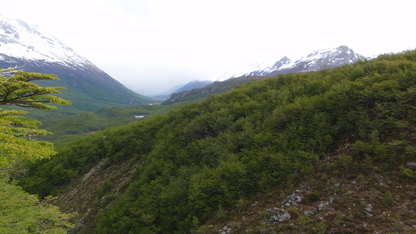 Still lots of clouds and fog rolling in off the ice field, keeping the valley gray and foggy.
