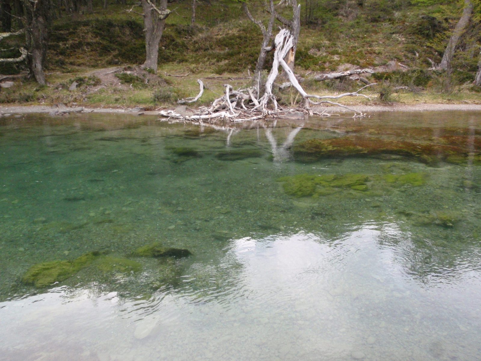 Next I went hiking along the lake.  The water was very clear.