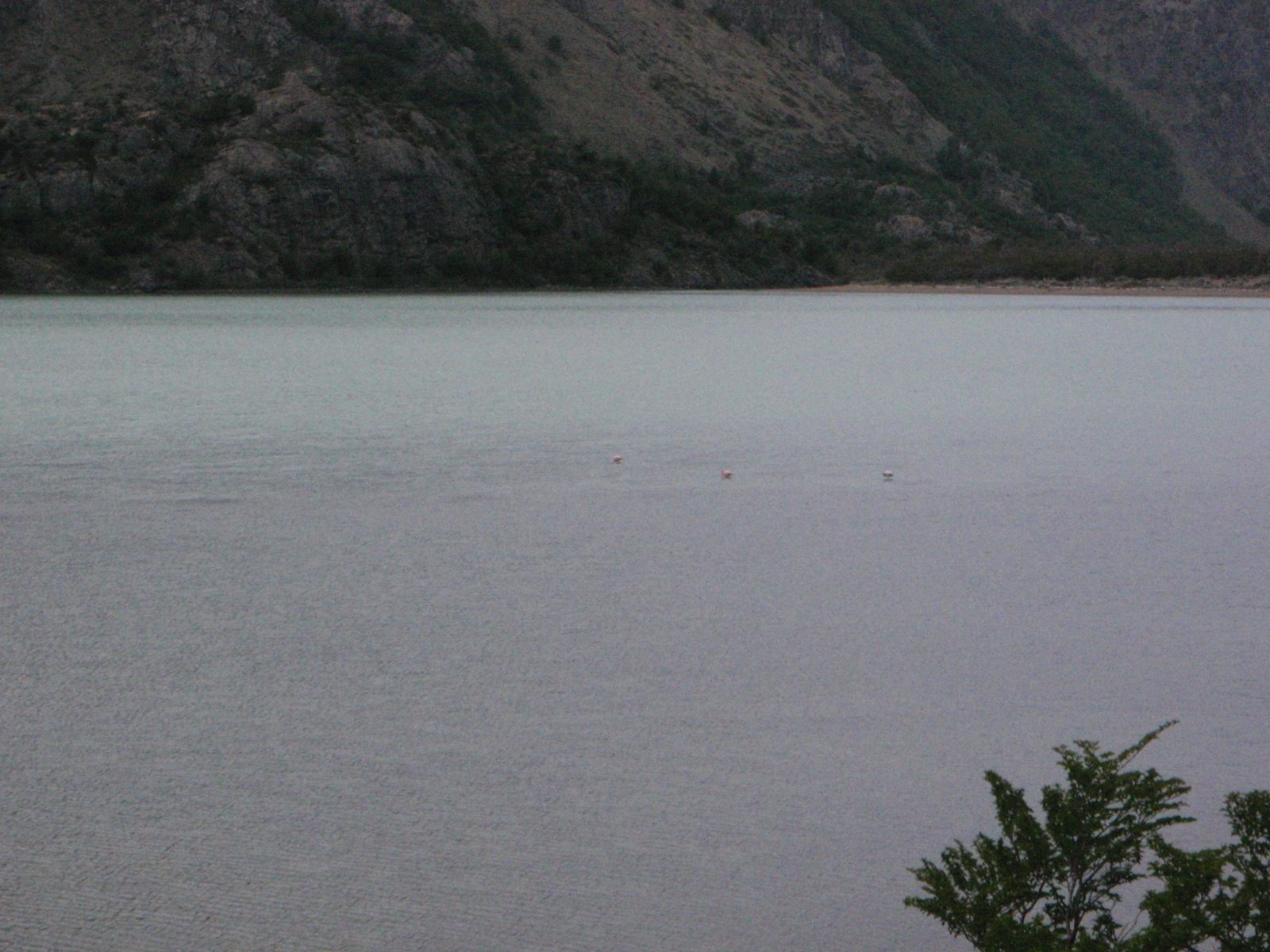 Some more pink flamingos.  Very far away.