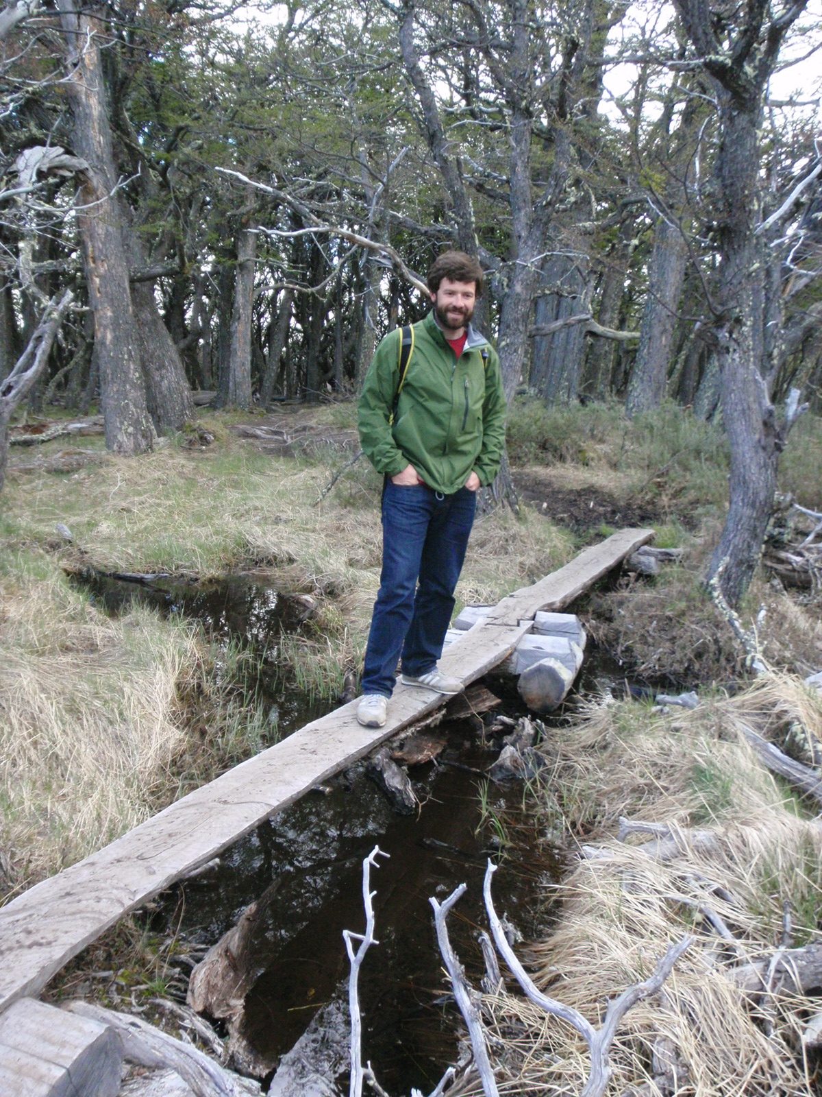 Bridges Across Patagonia.  The Album. For Catherine.