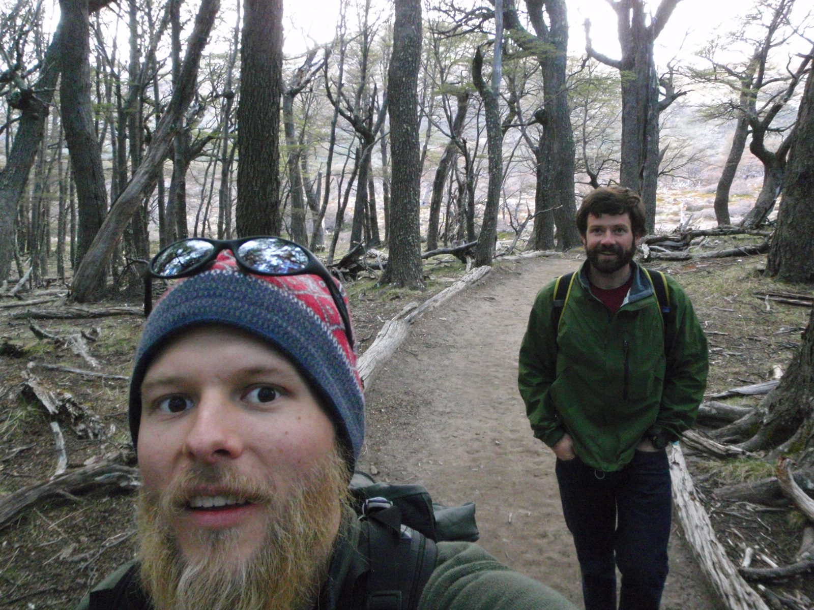 Hiking in the woods.