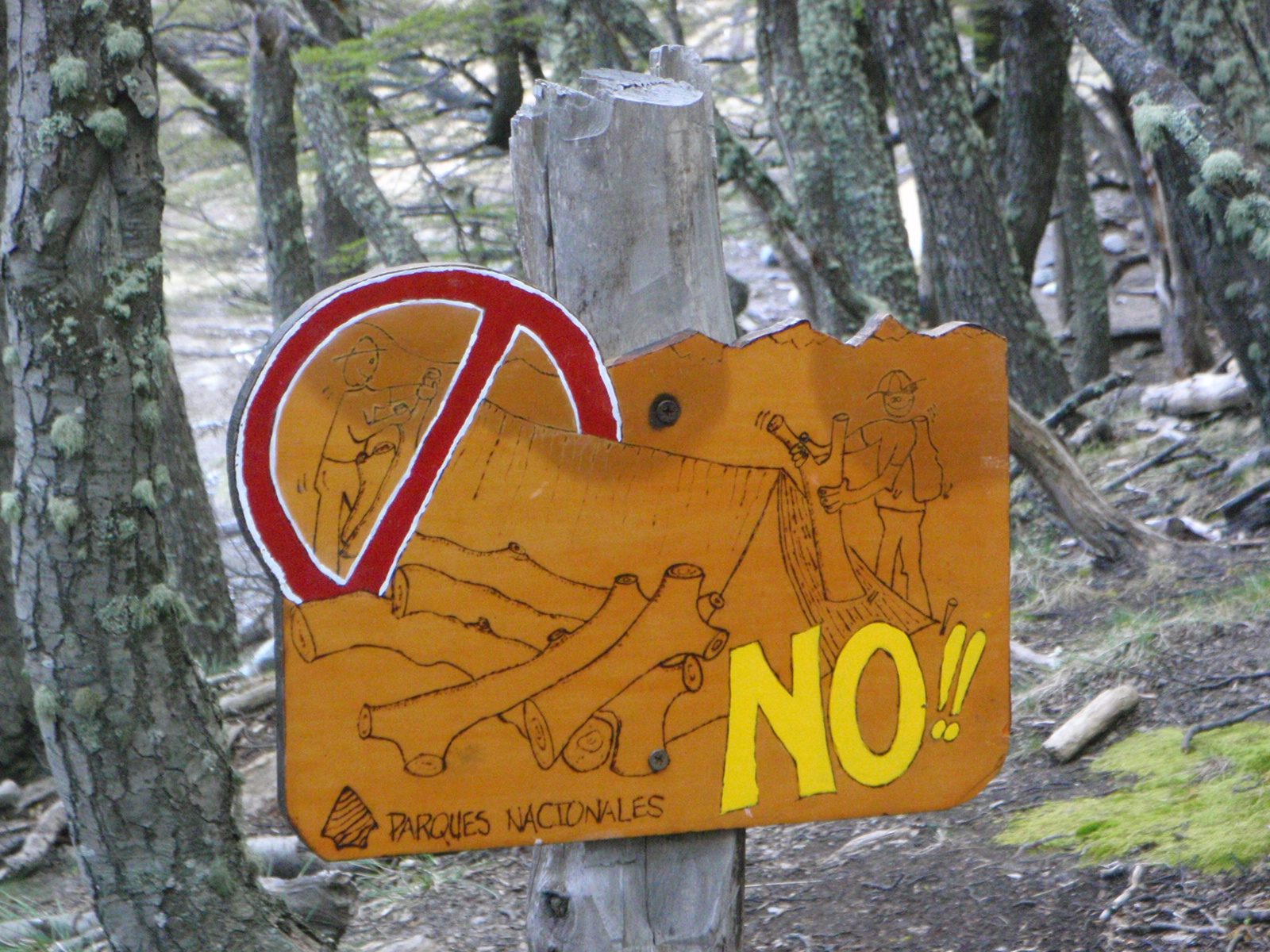 No jamming tree logs through the doors of existing tents.