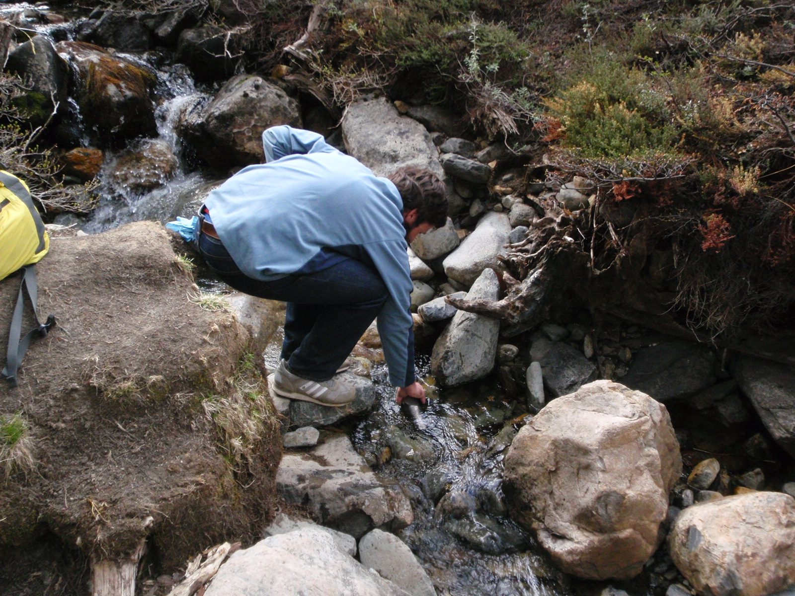 Apparently the water is clean enough here there is no need to filter.