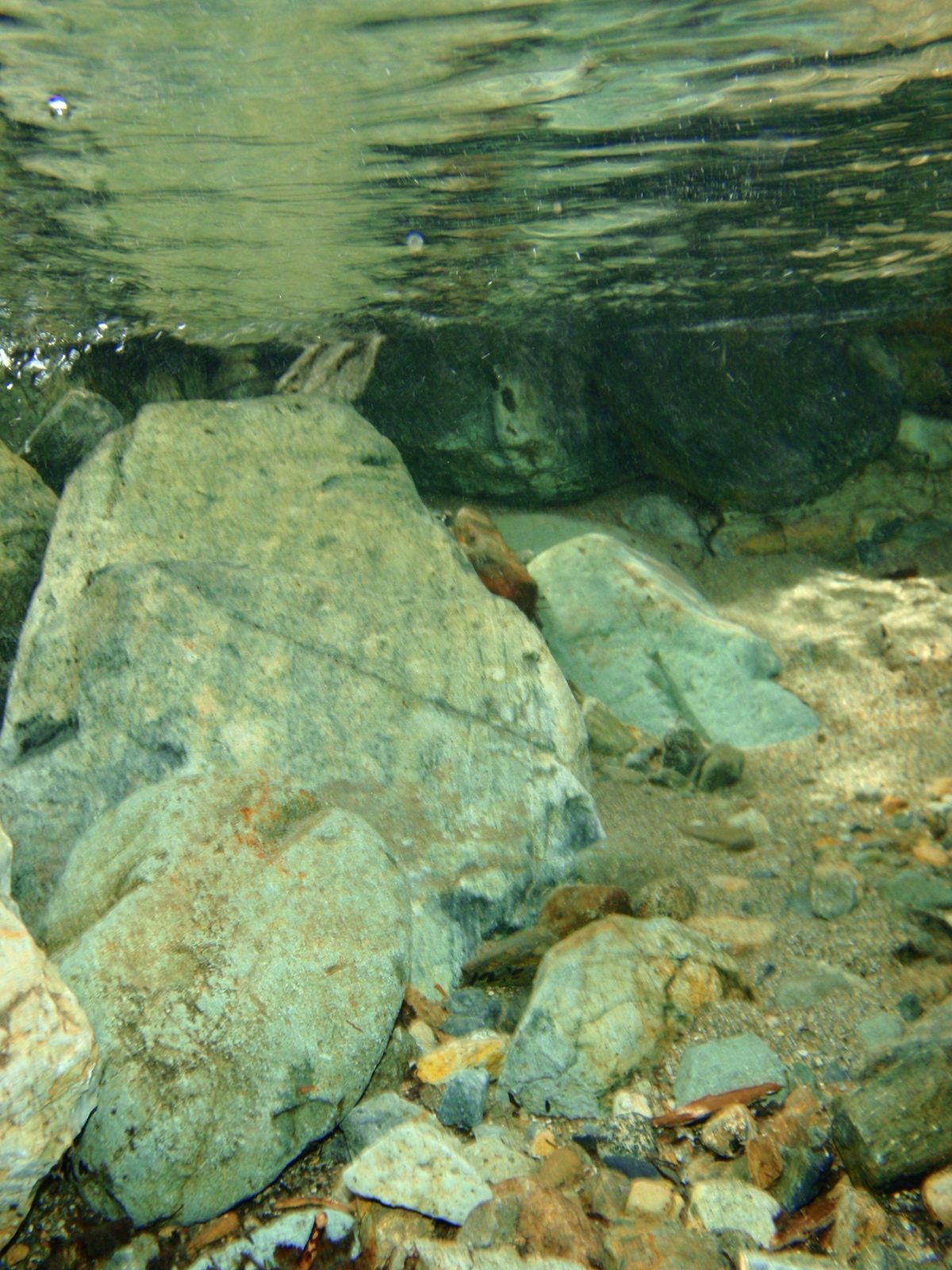 Here's what the river looks like from underwater.