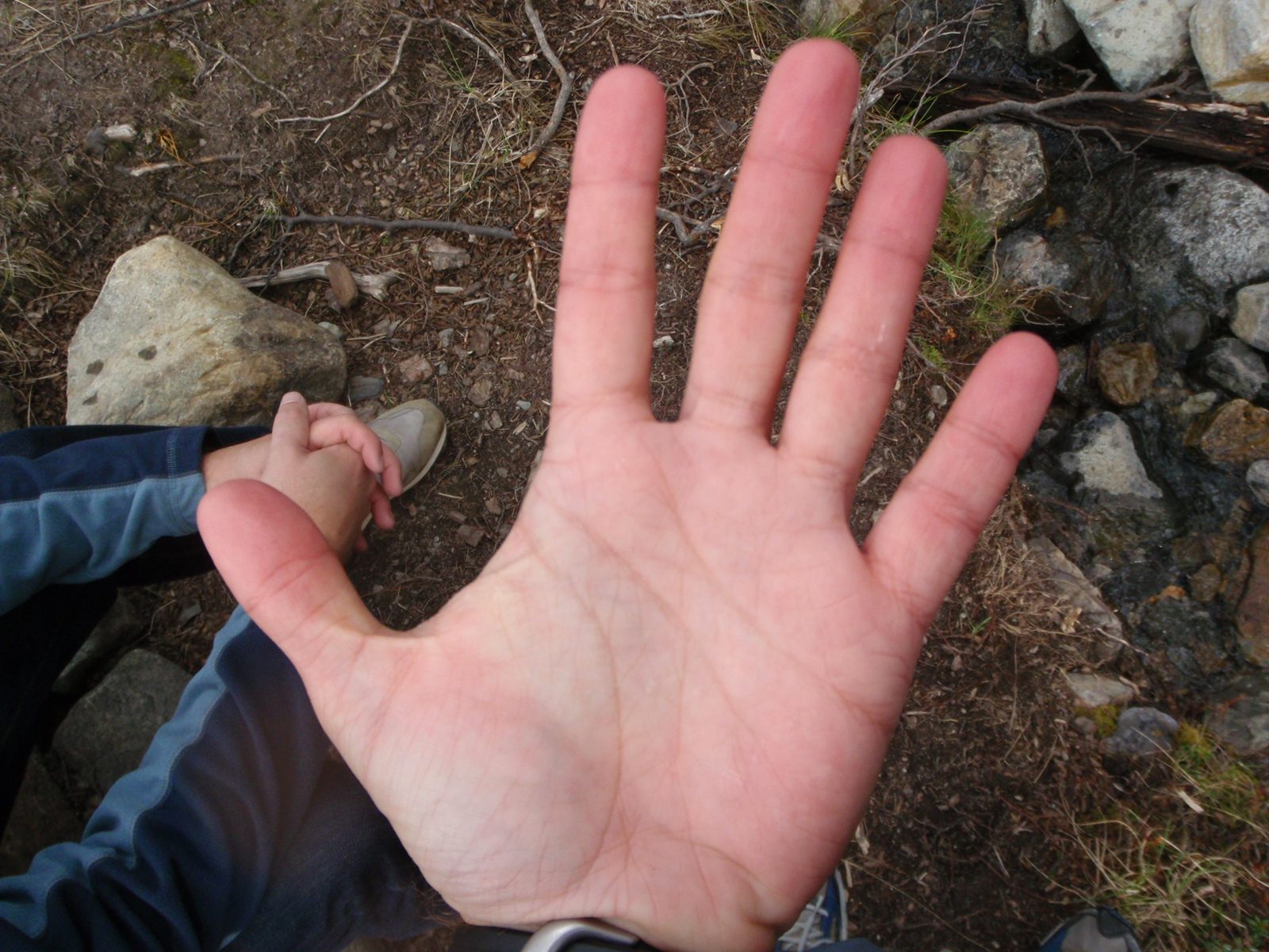 All of this underwater photography turned my hand bright pink from the cold.