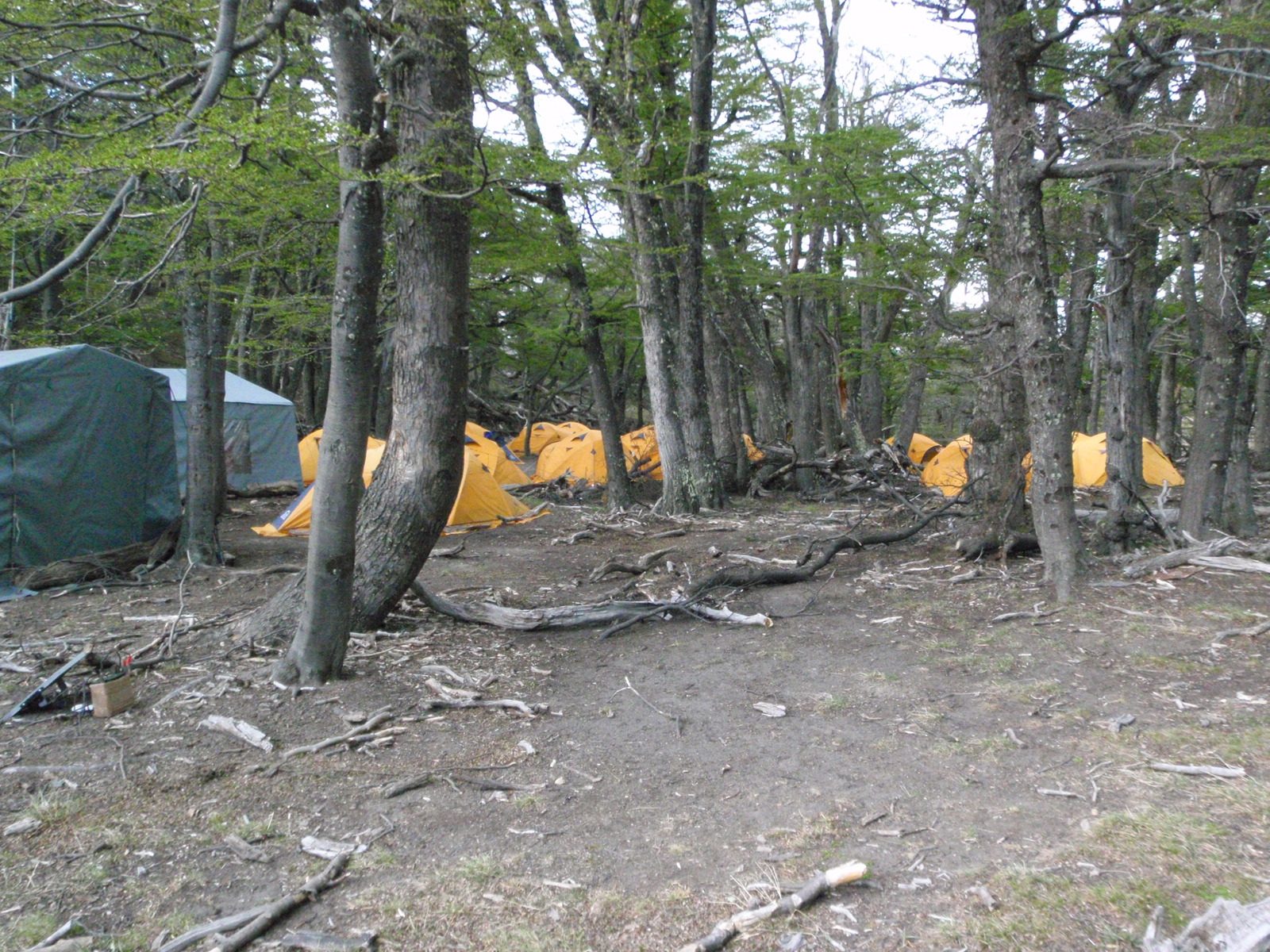 A big tourist group had taken over most of a very large campground.  Funniest of all was their...