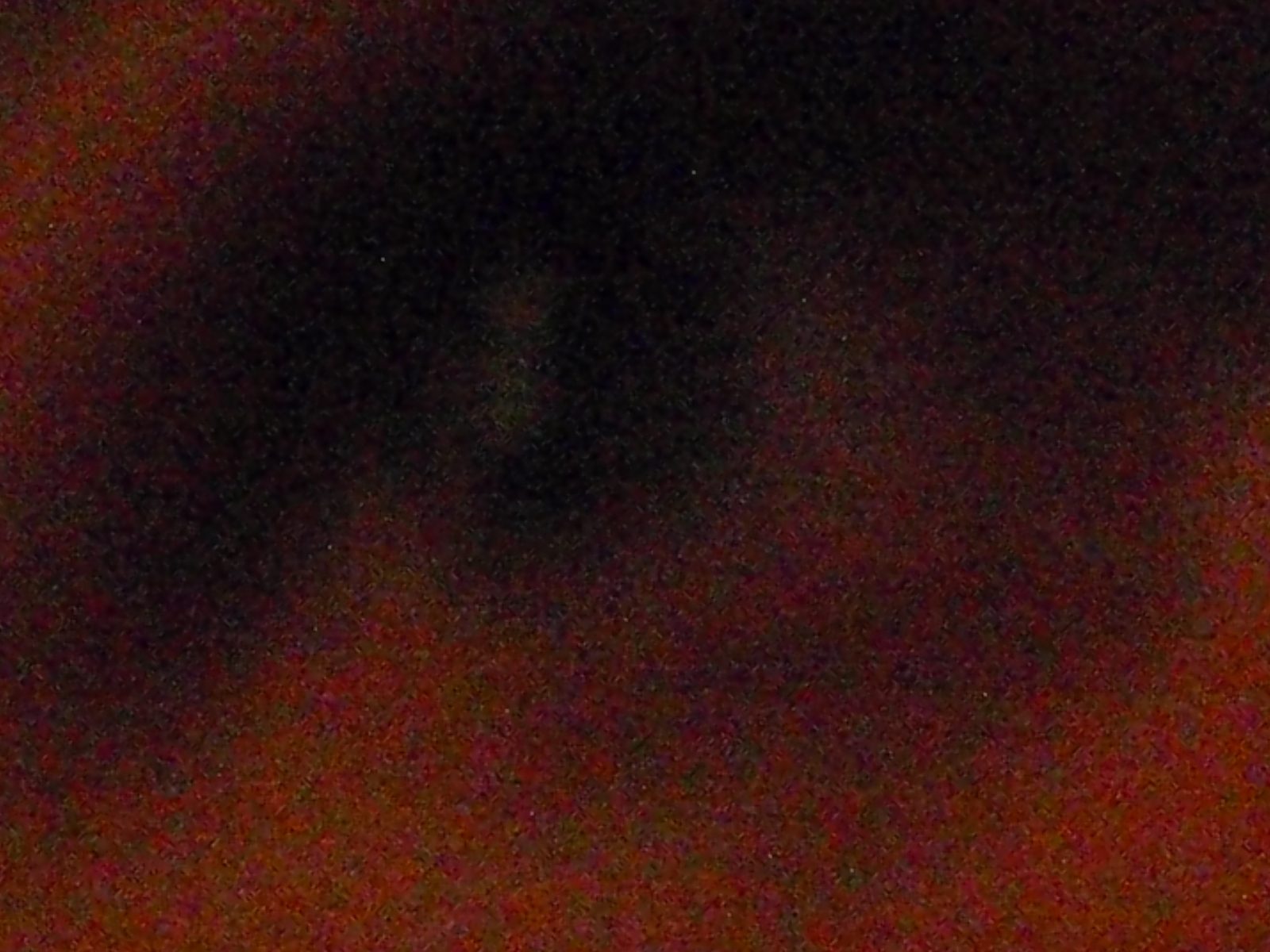 Jay's eye.  Zoomed in as far as my camera would go from across the table.