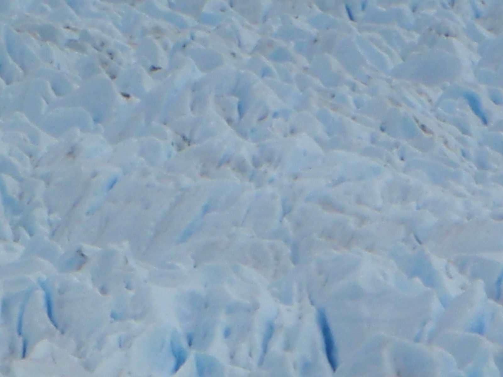 The surface of a glacier is like another planet.