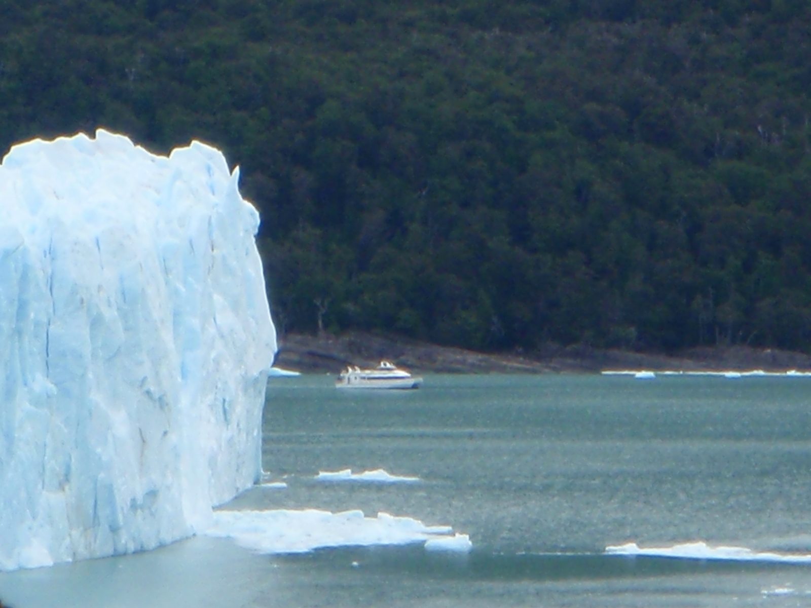 A rather large boat that takes tourists close to the glacier to see the action up close.