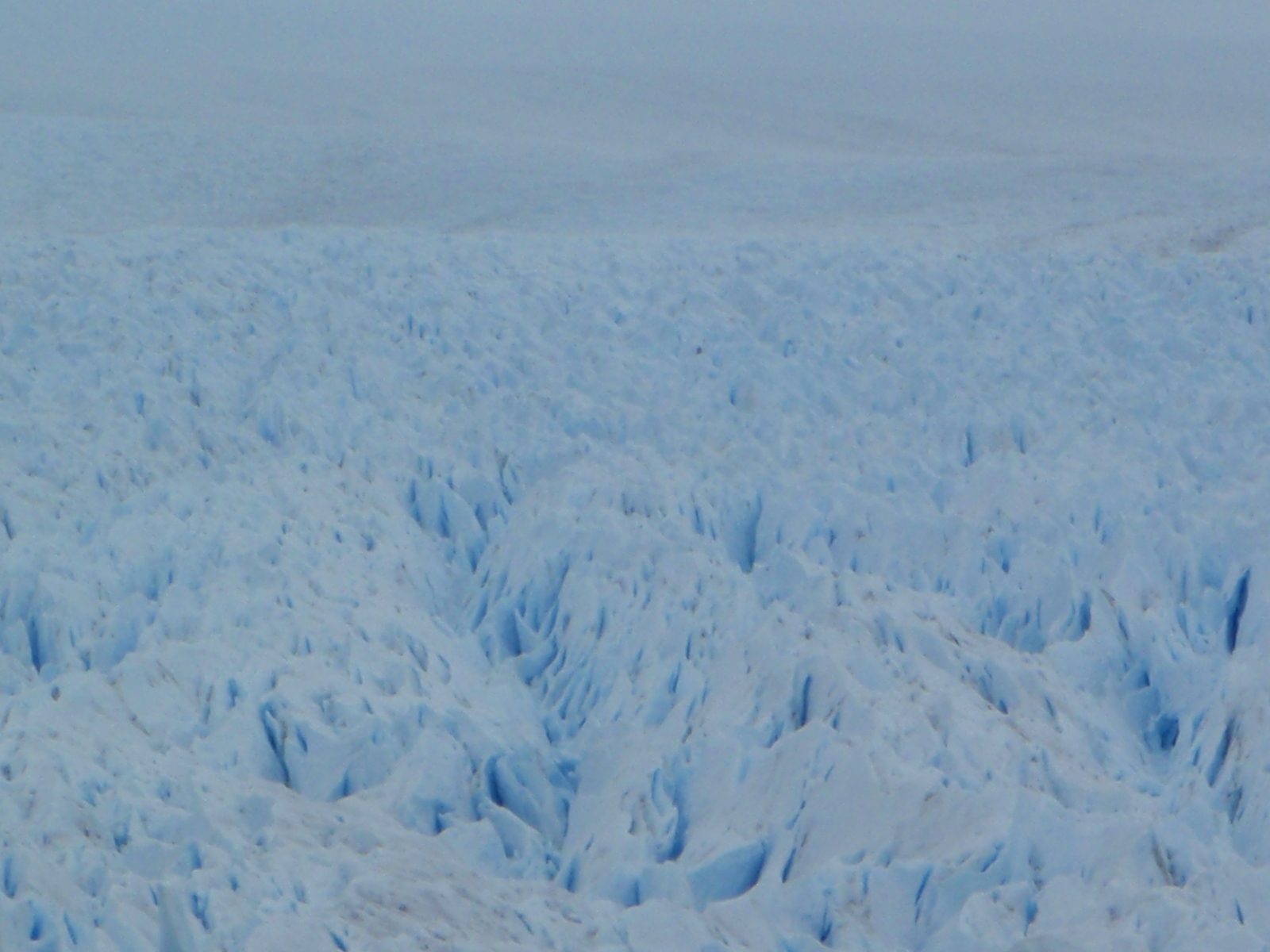 View from much higher up (near the bus) that shows the depth of the glacier a bit better I...