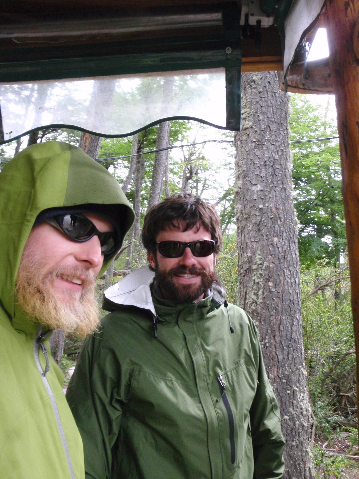Trying to stay dry in the drizzle.