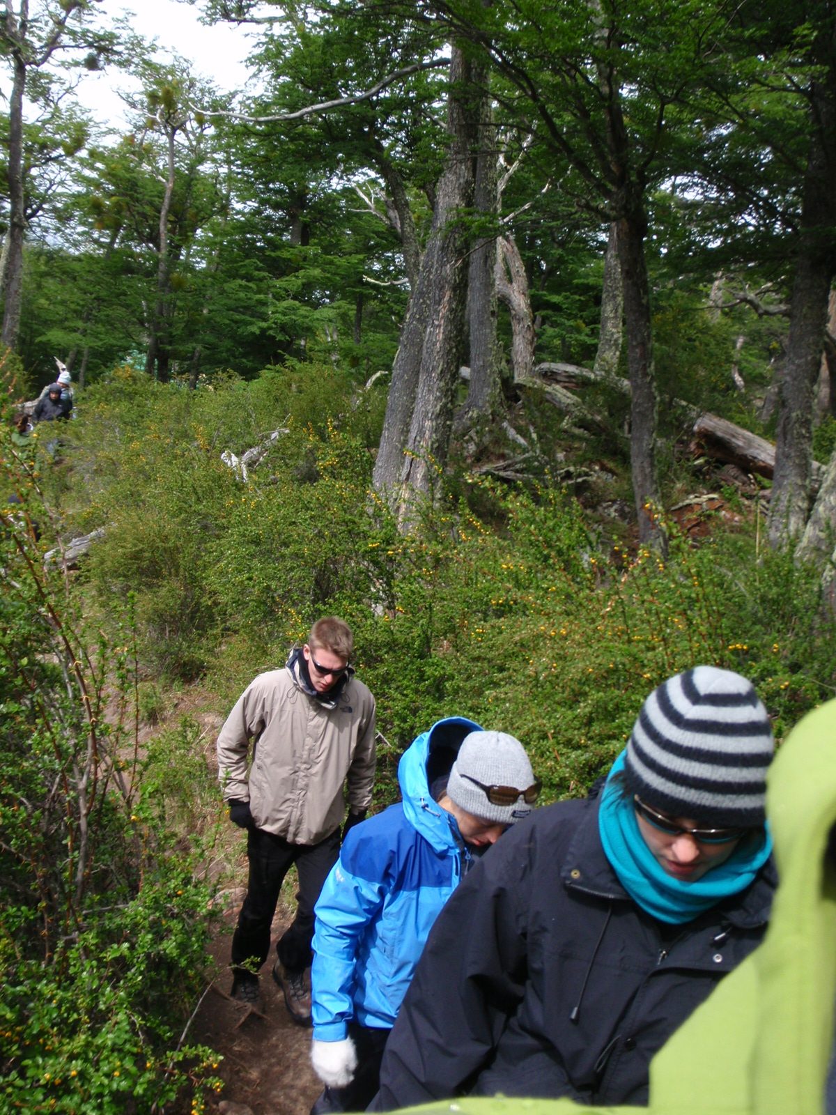 During the half-kilometer walk through the woods to the glacier's edge.